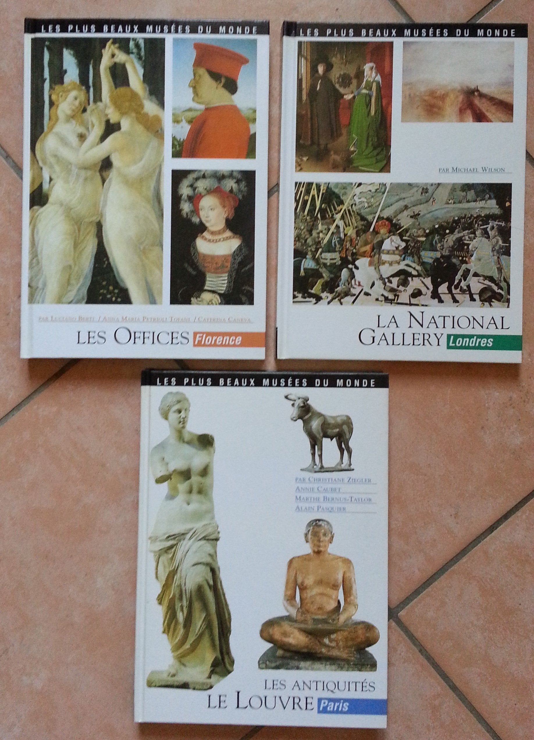La National gallery, Londres (Les plus beaux musées du monde) book