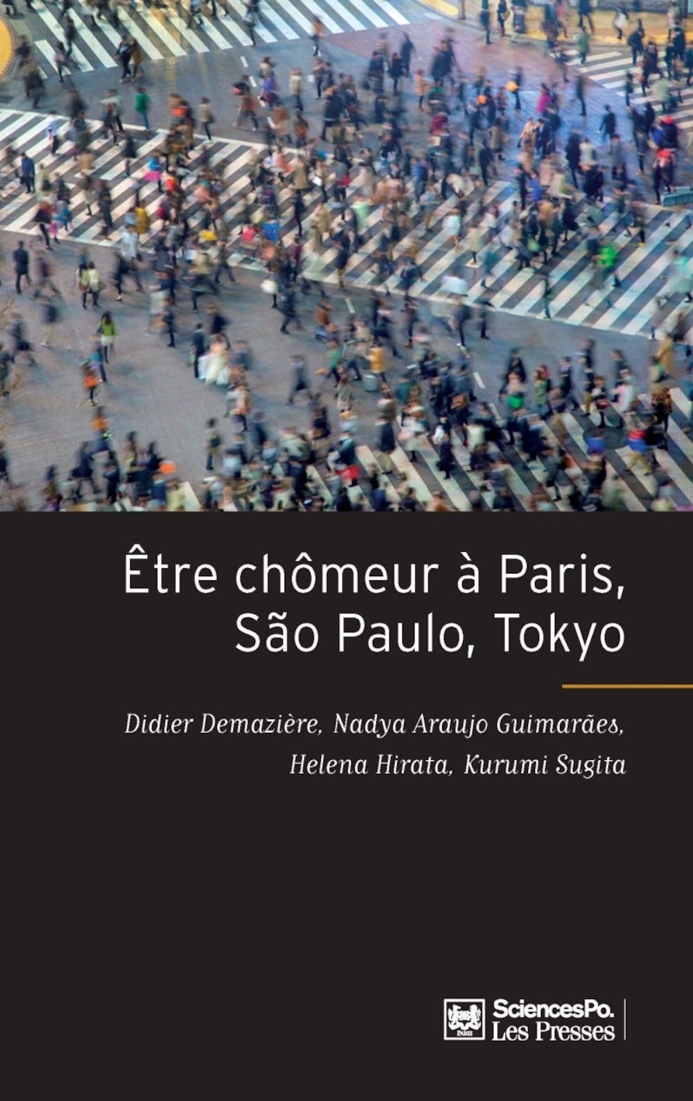 Être chômeur à Paris, São Paulo, Tokyo - Une méthode de comp: Une méthode de comparaison internationale Politics & History
