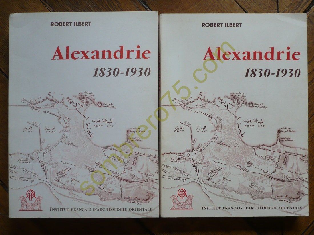 Alexandrie, 1830-1930 : histoire d'une communauté citadine Social Sciences