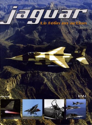 Jaguar - le félin en action Film, Art & Culture
