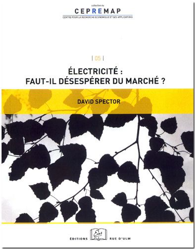 Electricité, faut-il désespérer du marché ? book