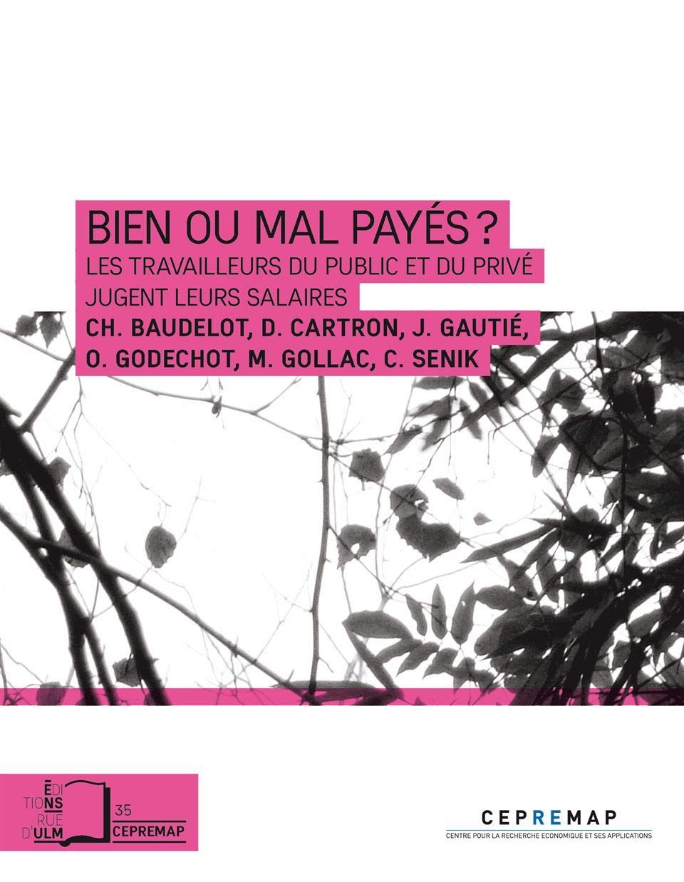 Bien ou Mal Payes?: Les Travailleurs du Public et du Prive.. Business, Finance & Career