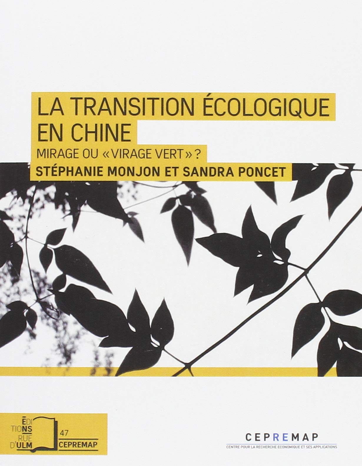 La transition écologique en Chine: Mirage ou "virage vert" ? book
