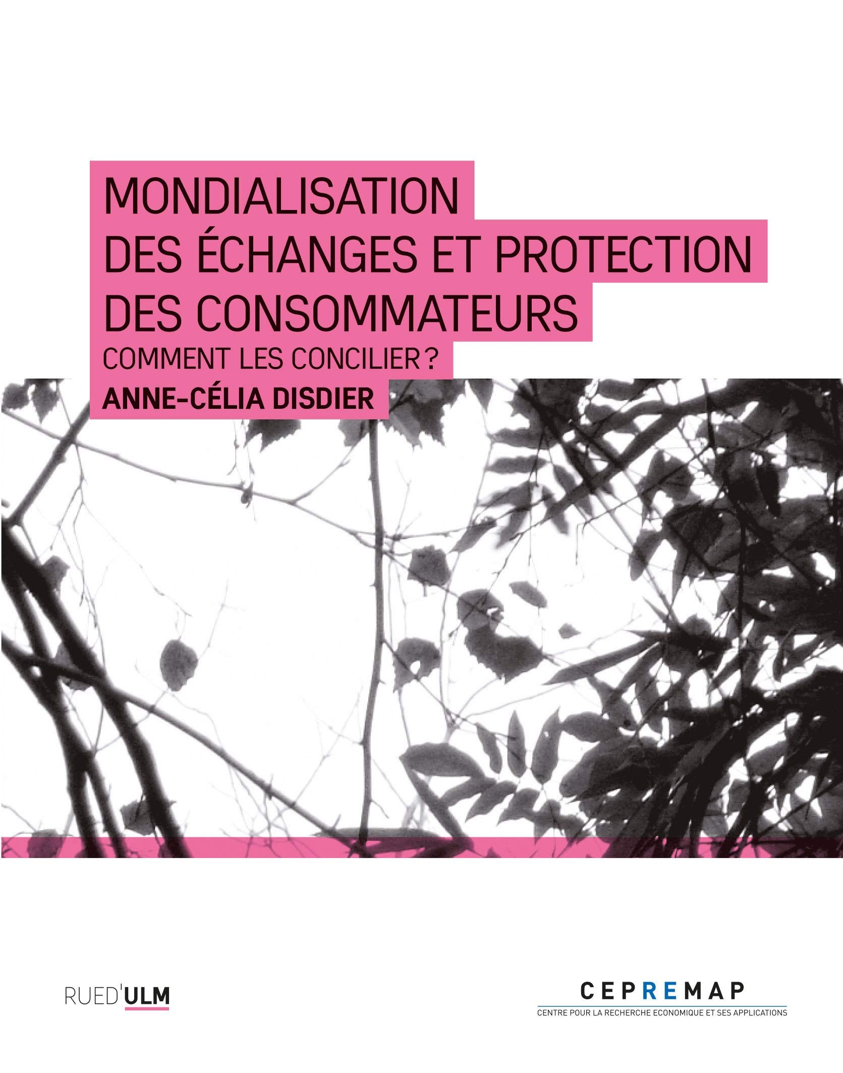 Mondialisation des échanges et protection des consommateurs: Comment les concilier ? book