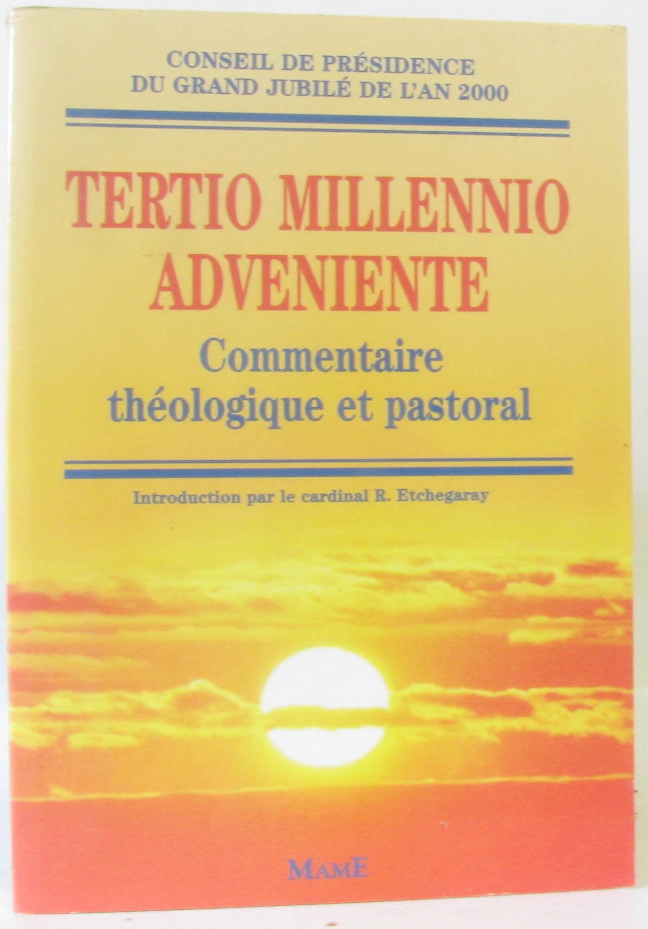 Tertio millenio adveniente : commentaire théologique pastoral book