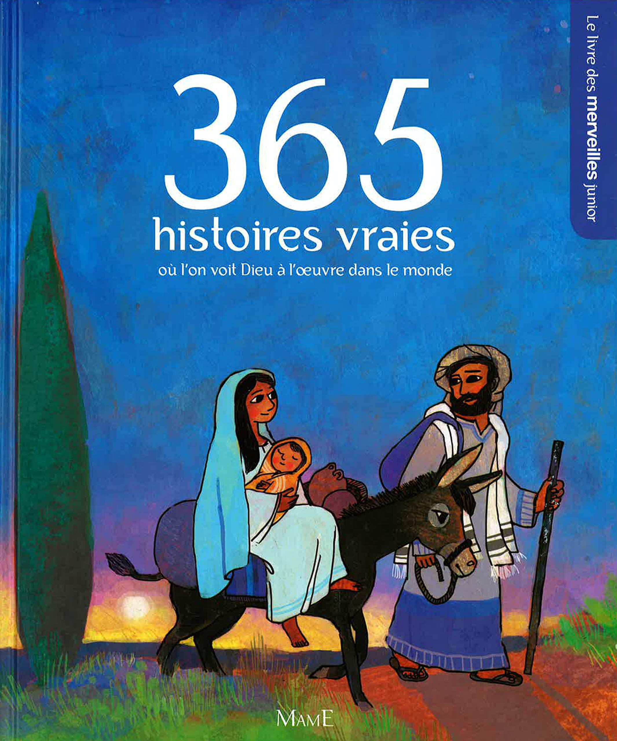 365 HISTOIRES VRAIES OU L'ON VOIT DIEU A L'OEUVRE DANS LE MONDE book