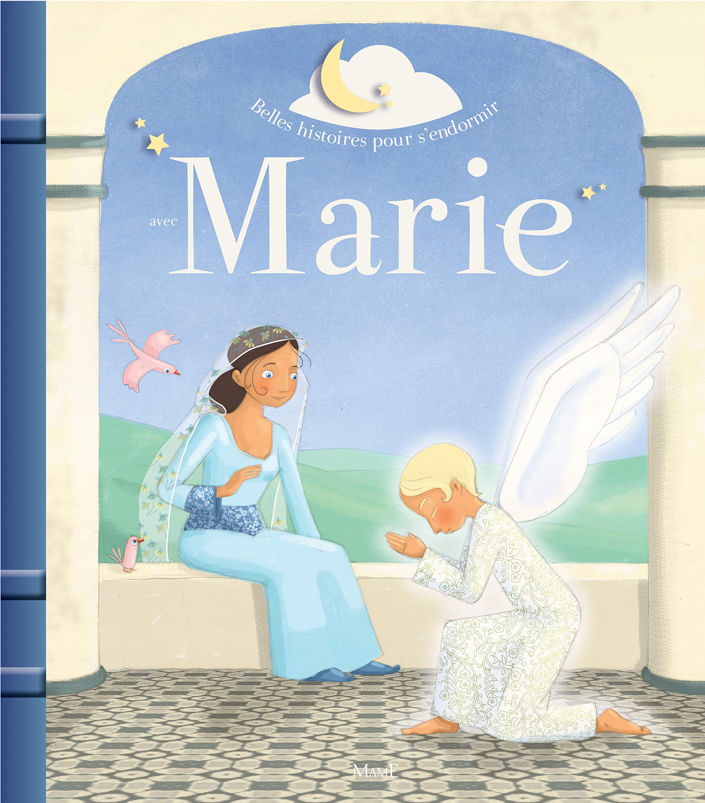 Belles histoires pour s'endormir avec Marie book