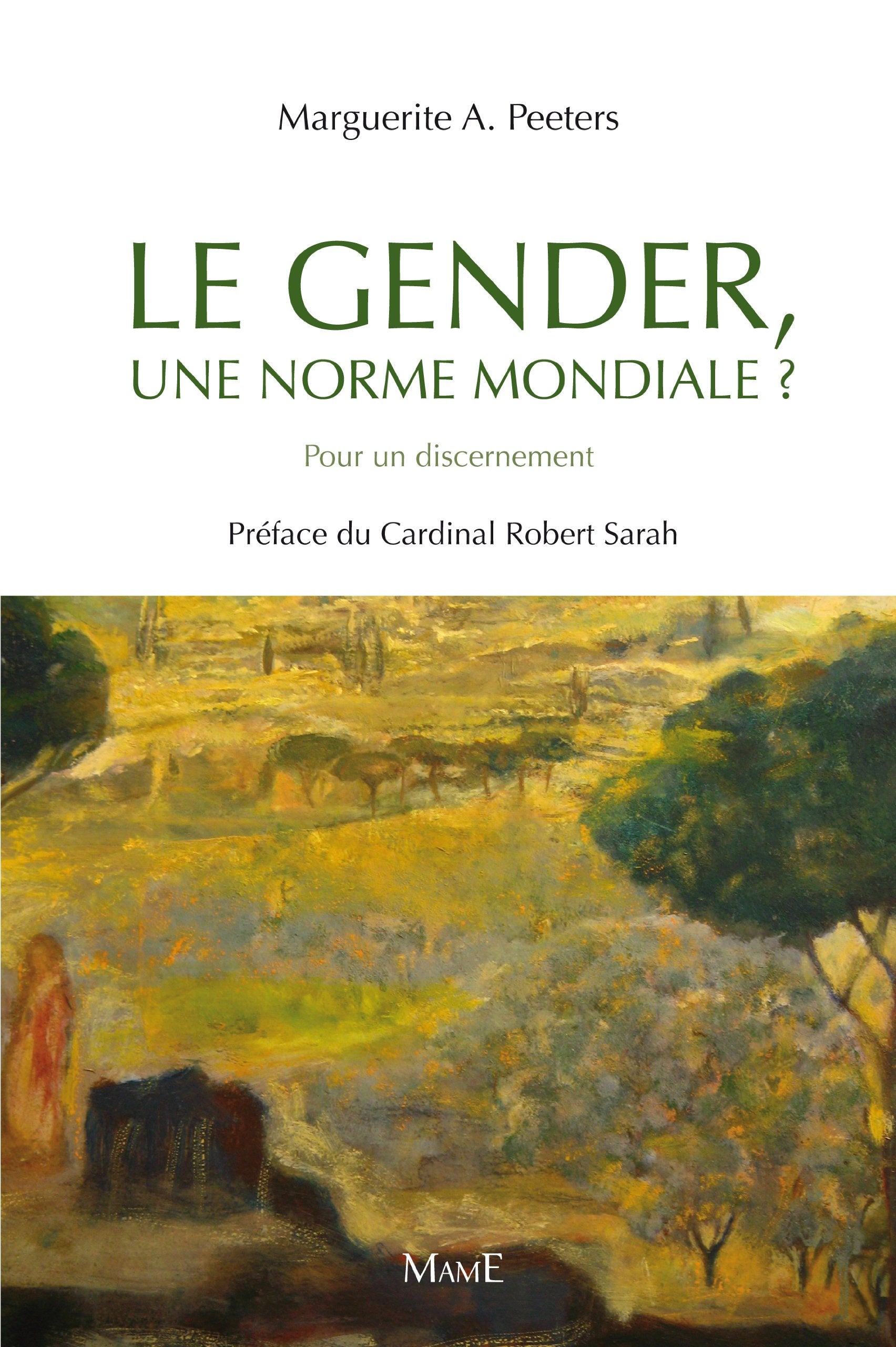 Le gender, une norme mondiale ?: Pour un discernement book