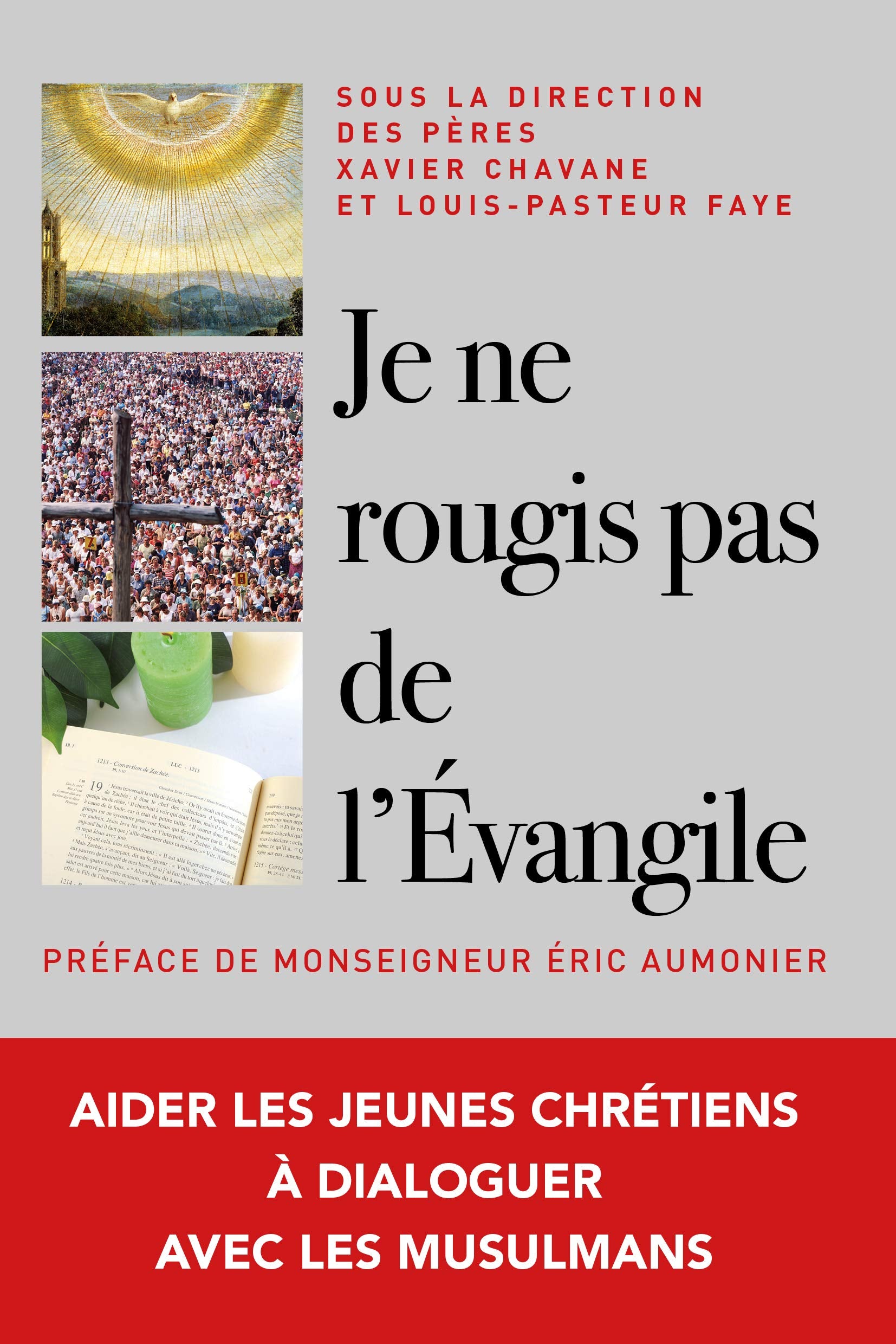 Je ne rougis pas de l'Evangile book