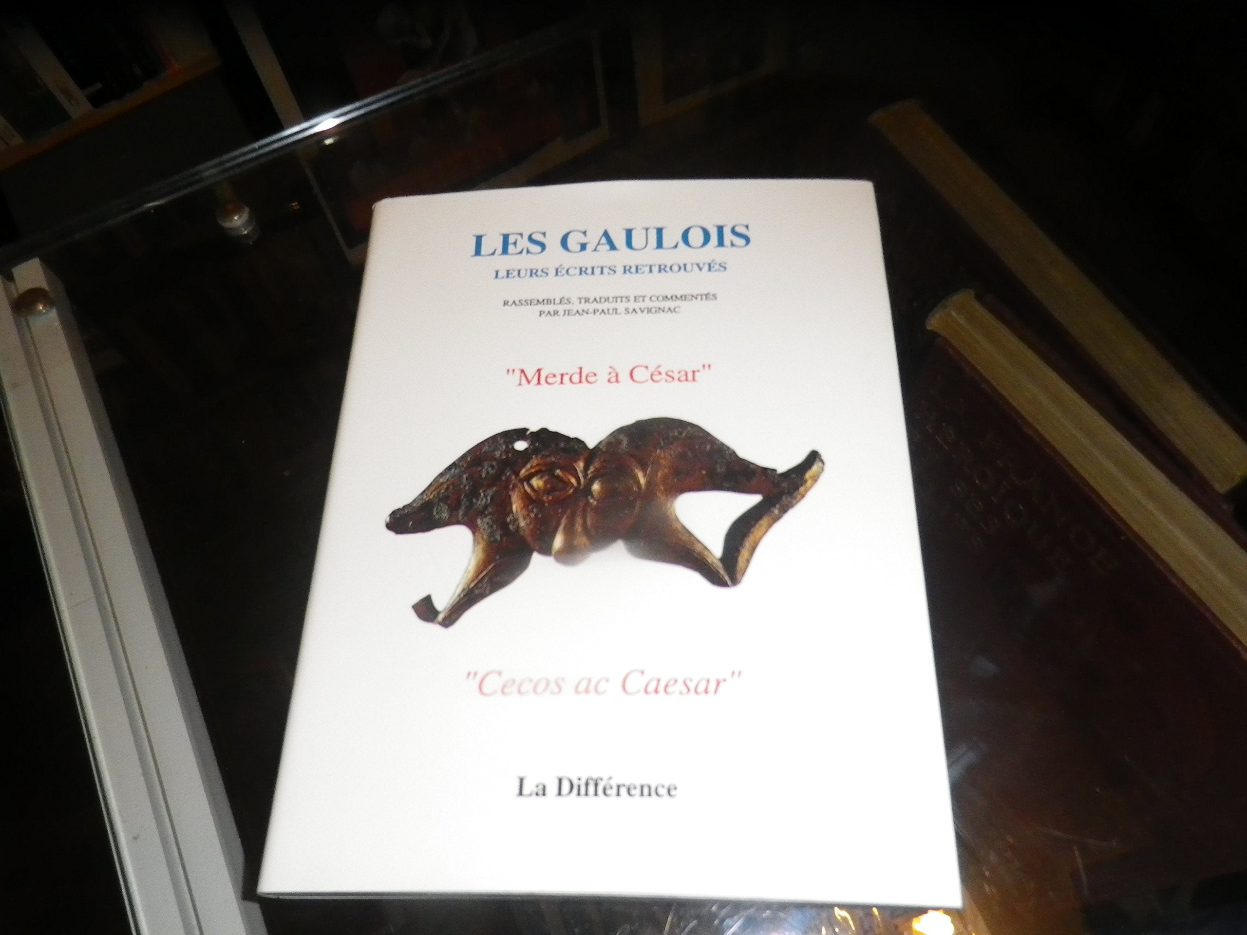 Merde A Cesar:Gaulois Leurs Ecrits Retrouves book
