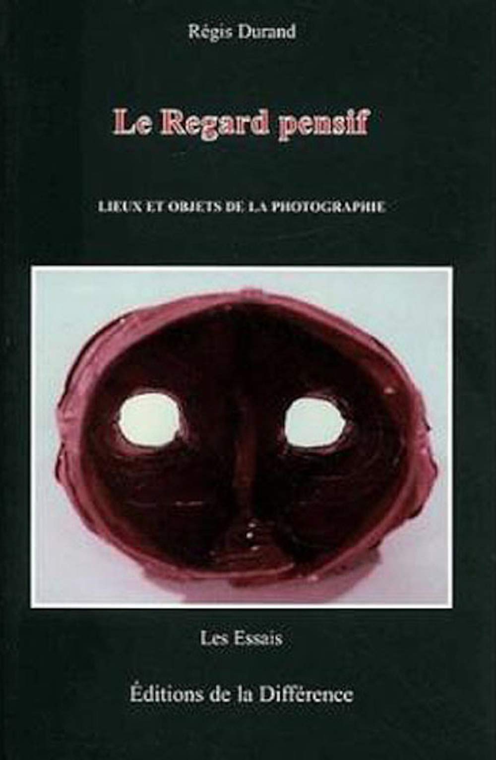 Le Regard pensif : Lieux et Objets de la photographie book