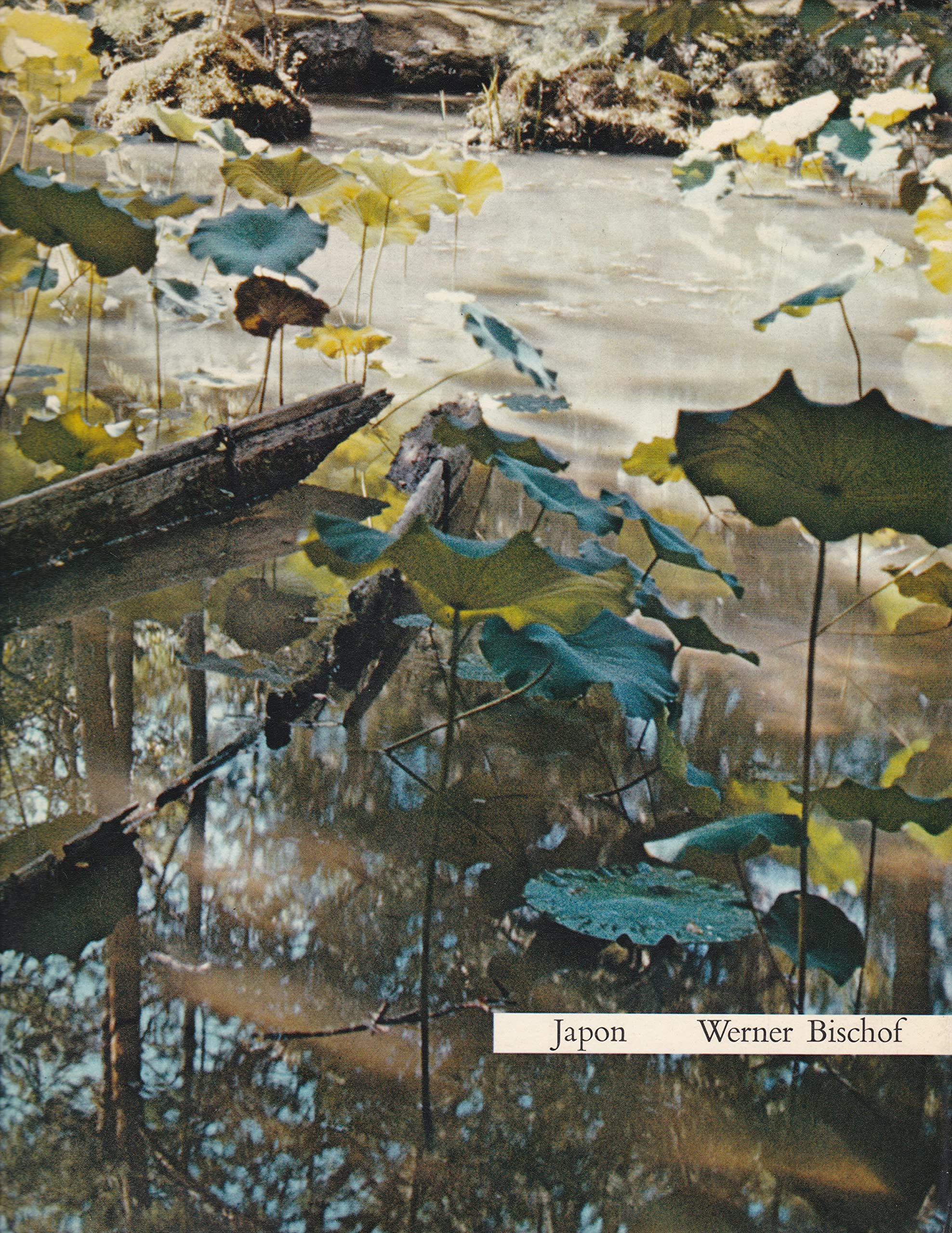 Product Image: Japon
