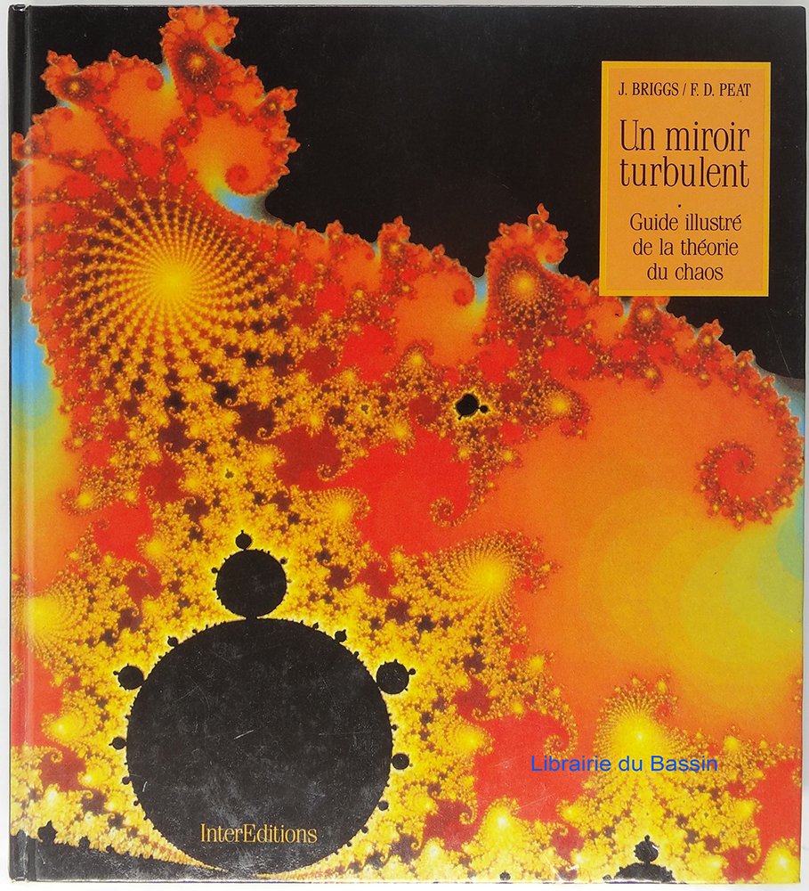 Un miroir turbulent: Guide illustré de la théorie du chaos Books