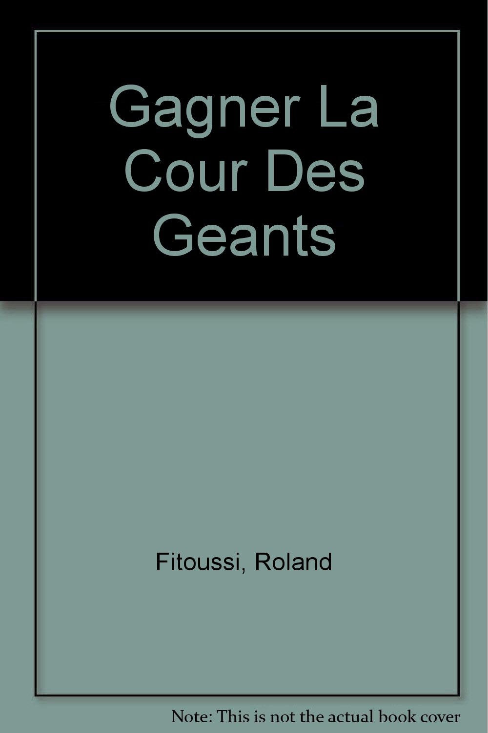 Gagner la cour des géants : Les PDG des nouveaux groupes et leurs stratégies book