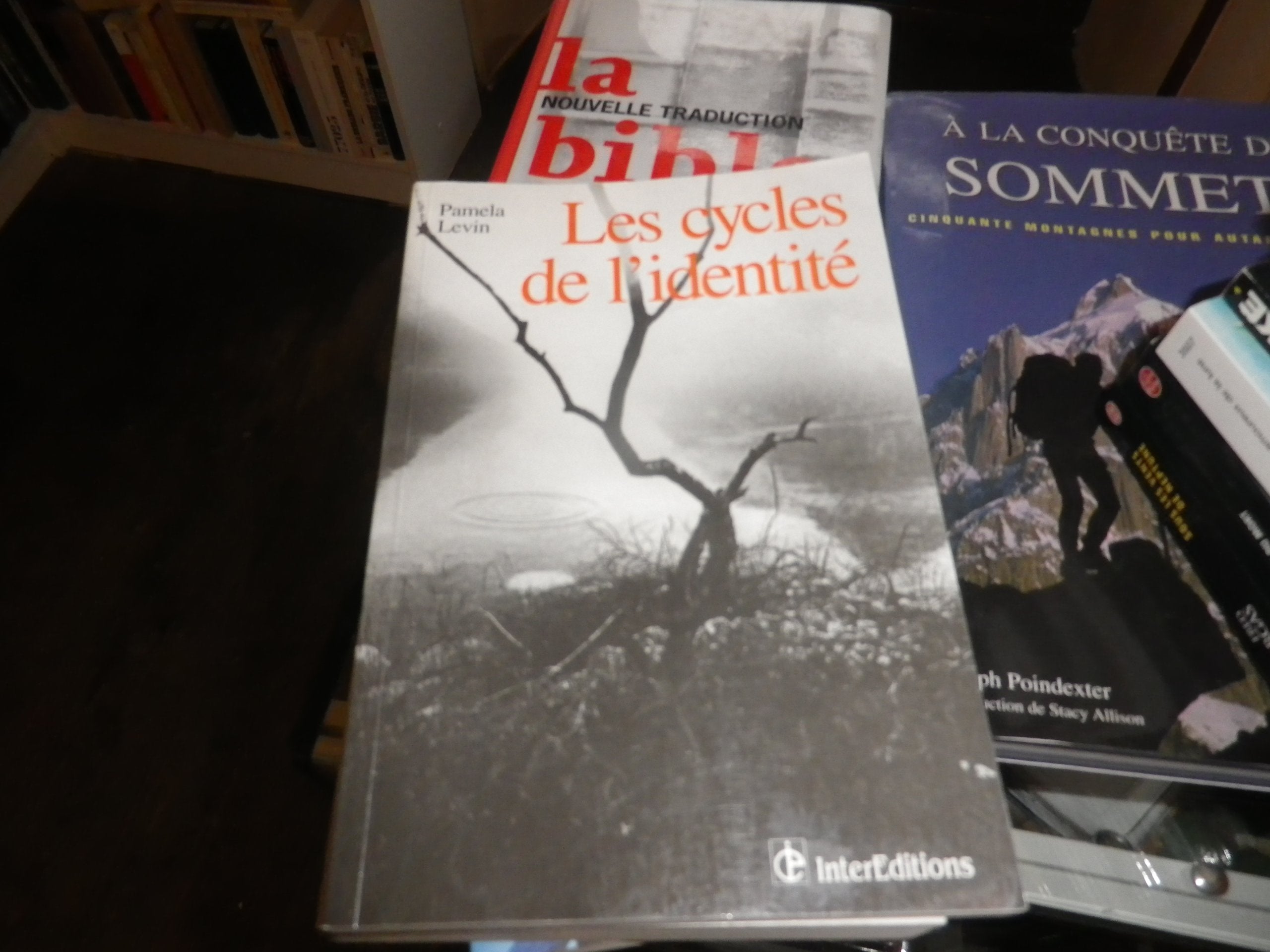 Product Image: Les cycles de l'identité