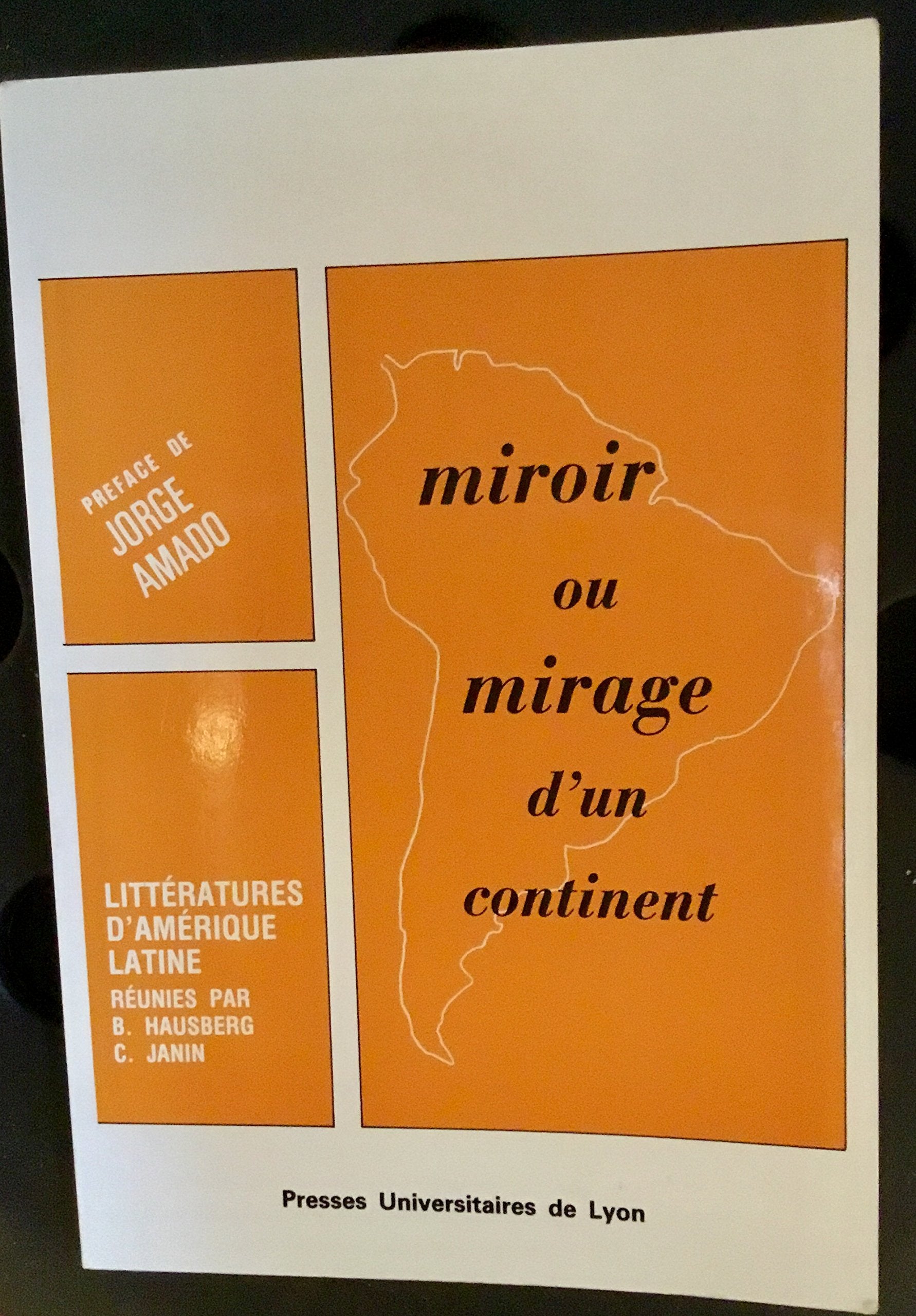 Miroir ou mirage d'un continent : littératures d'Amérique latine book