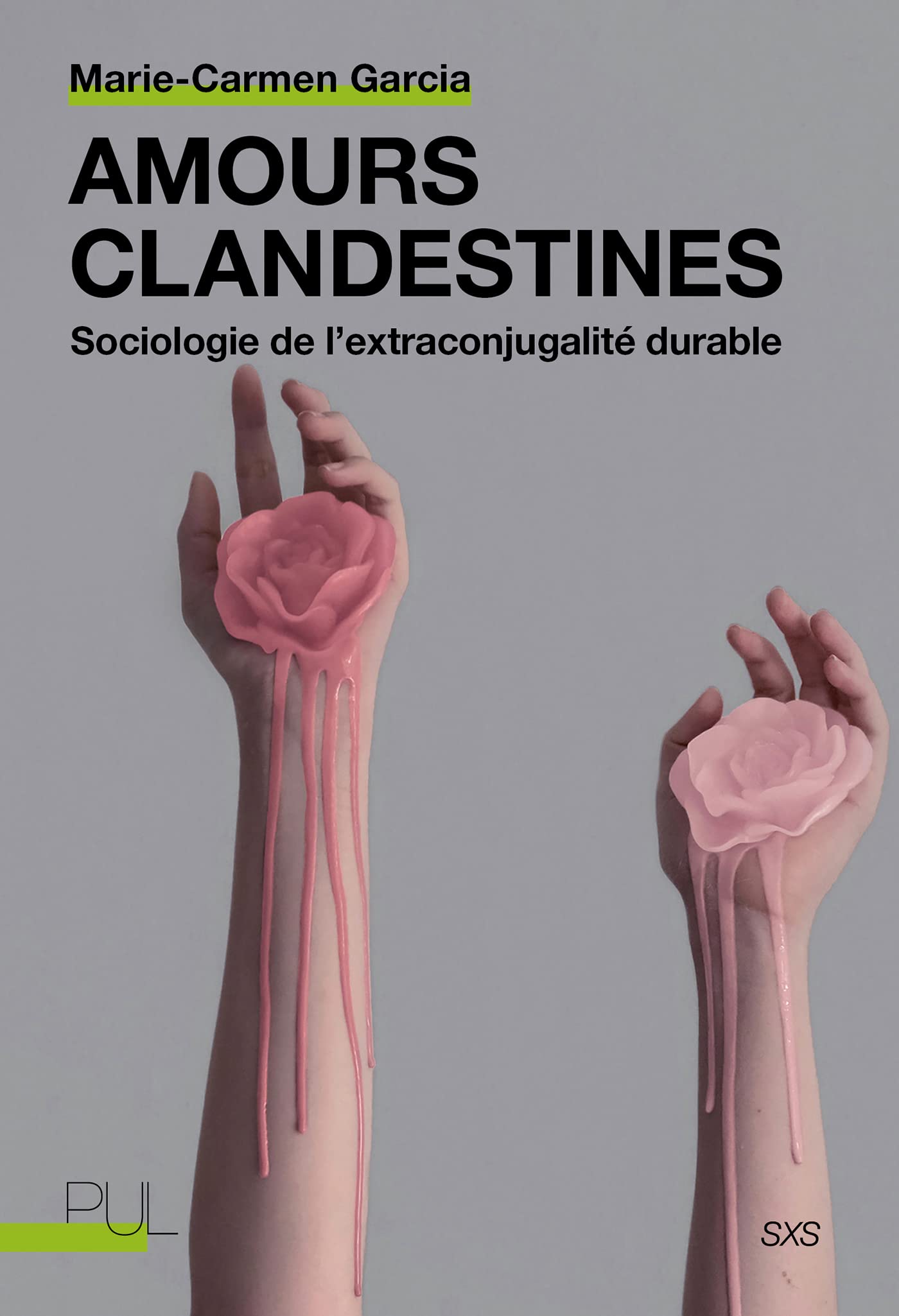 Amours clandestines : Sociologie de l'extraconjugalité durable Books