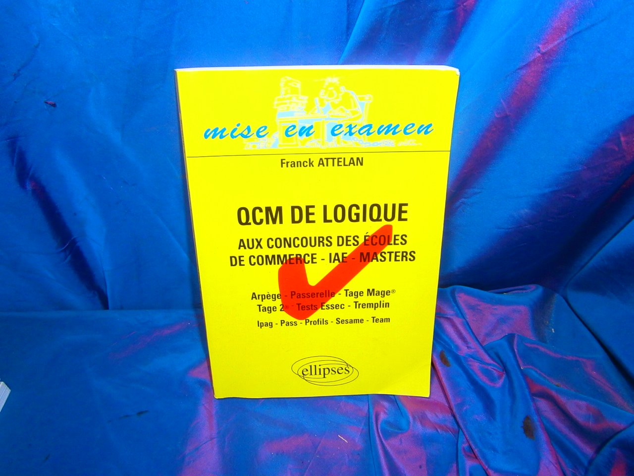 QCM de logique aux concours des écoles de commerce - IAE - Masters: Arpège - Passerelle - Tage Mage - Tage 2 - Tests Essec - Tremplin - Ipag - Pass - Profils - Sésame - Team book