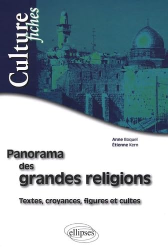 Panorama des grandes religions: Textes, croyances, figures et cultes (Culture fiches) Books