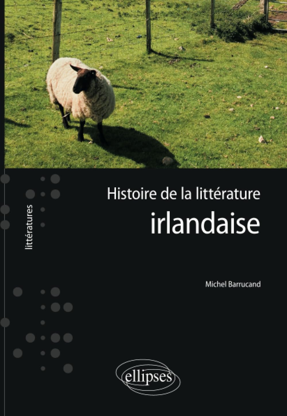 Histoire de la littérature irlandaise book