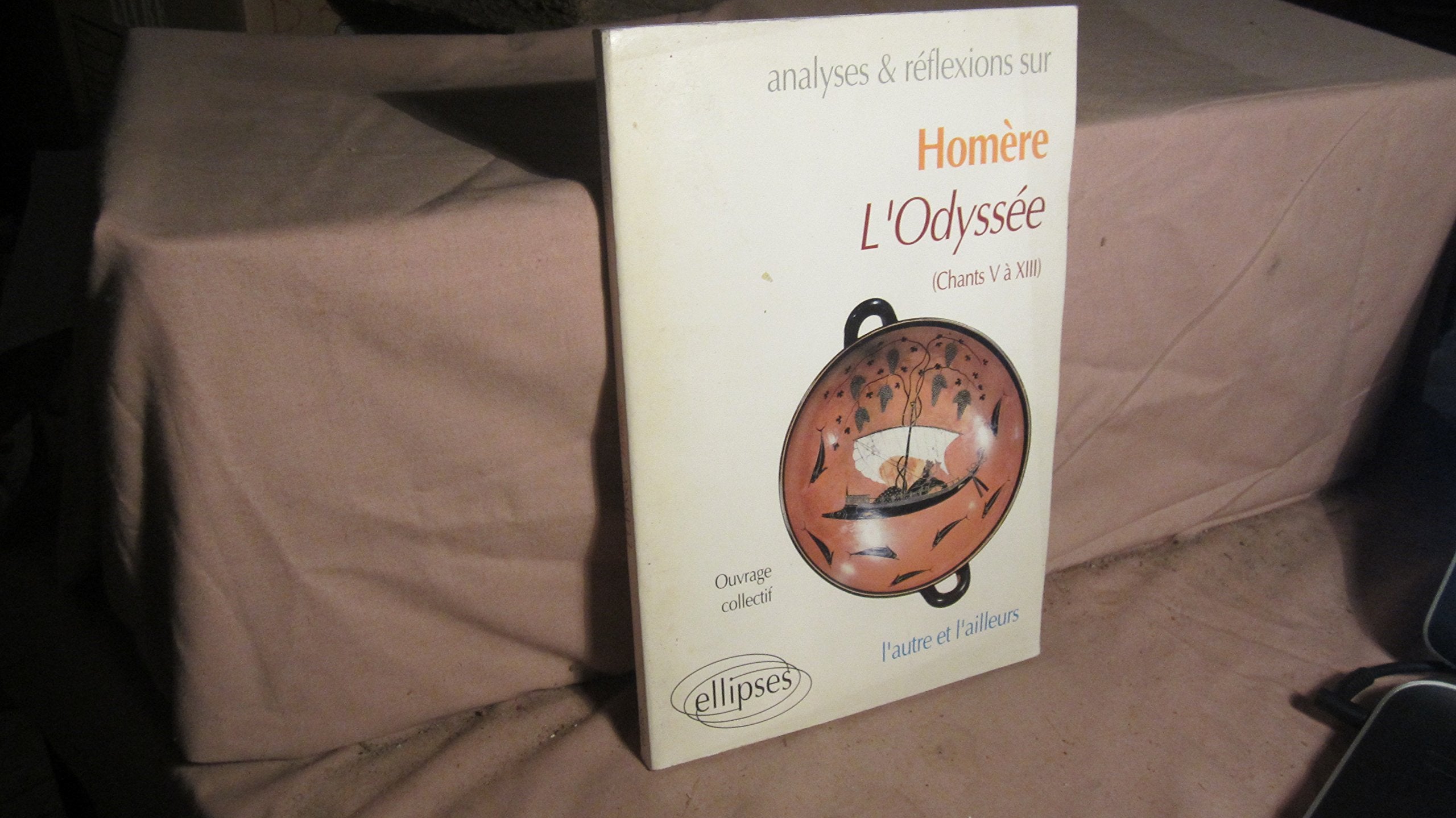 Homère, L'Odyssée (Chant V à XIII): Chants V à XIII, l'autre et l'ailleurs (Analyses & Réflexions) Non-fiction
