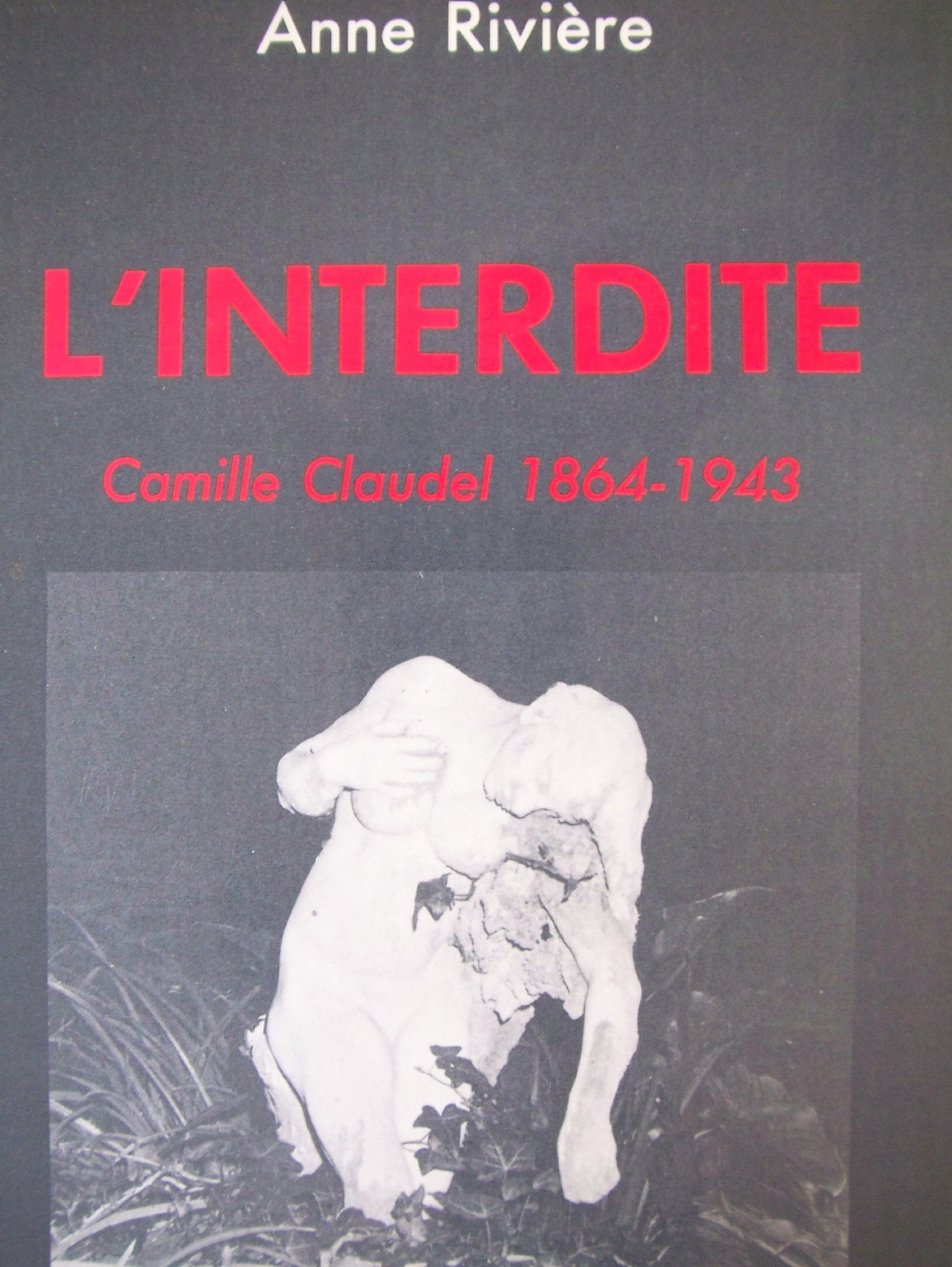 Le vingt-sixième rêve : L'aire de danse book