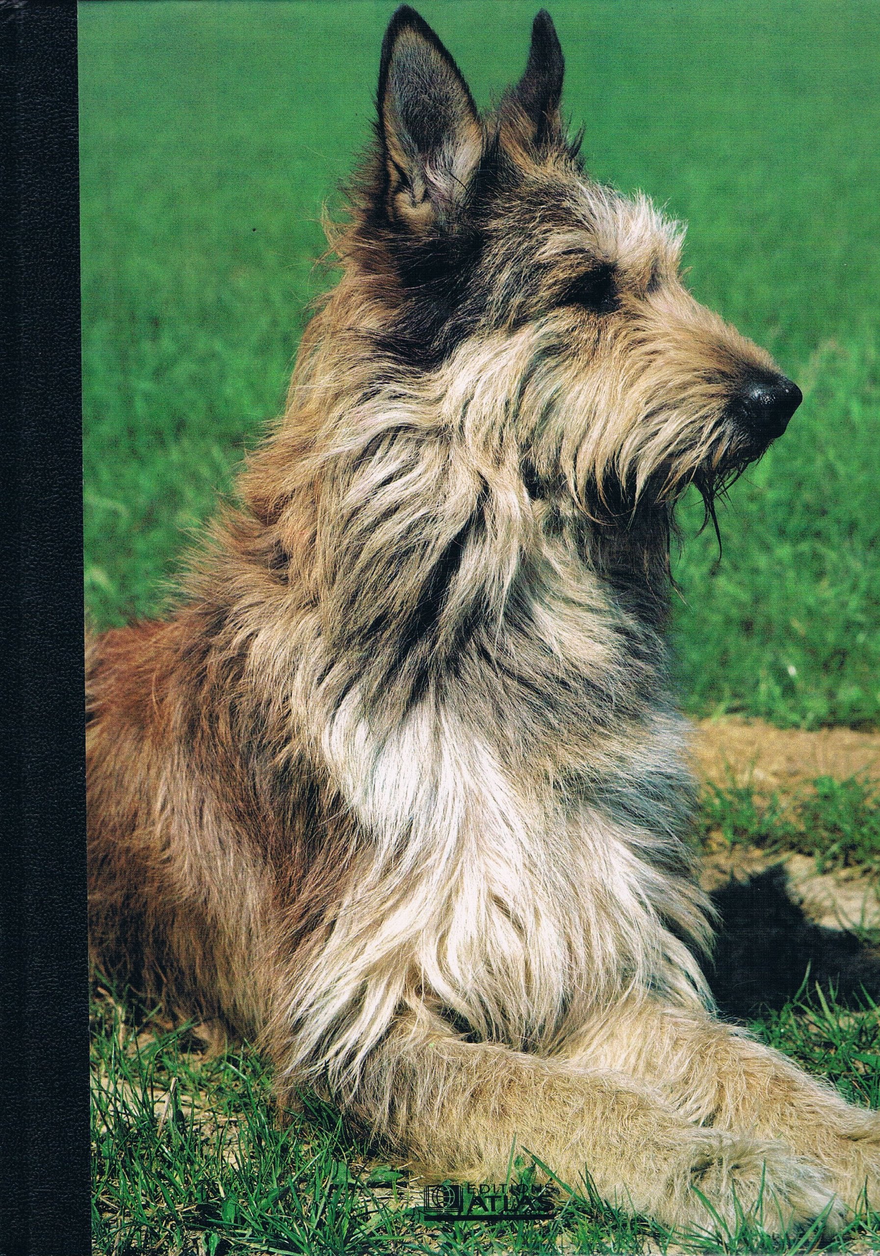 Mon Compagnon Le Chien Volume 3 De Berger Allemand à Berger Picard book