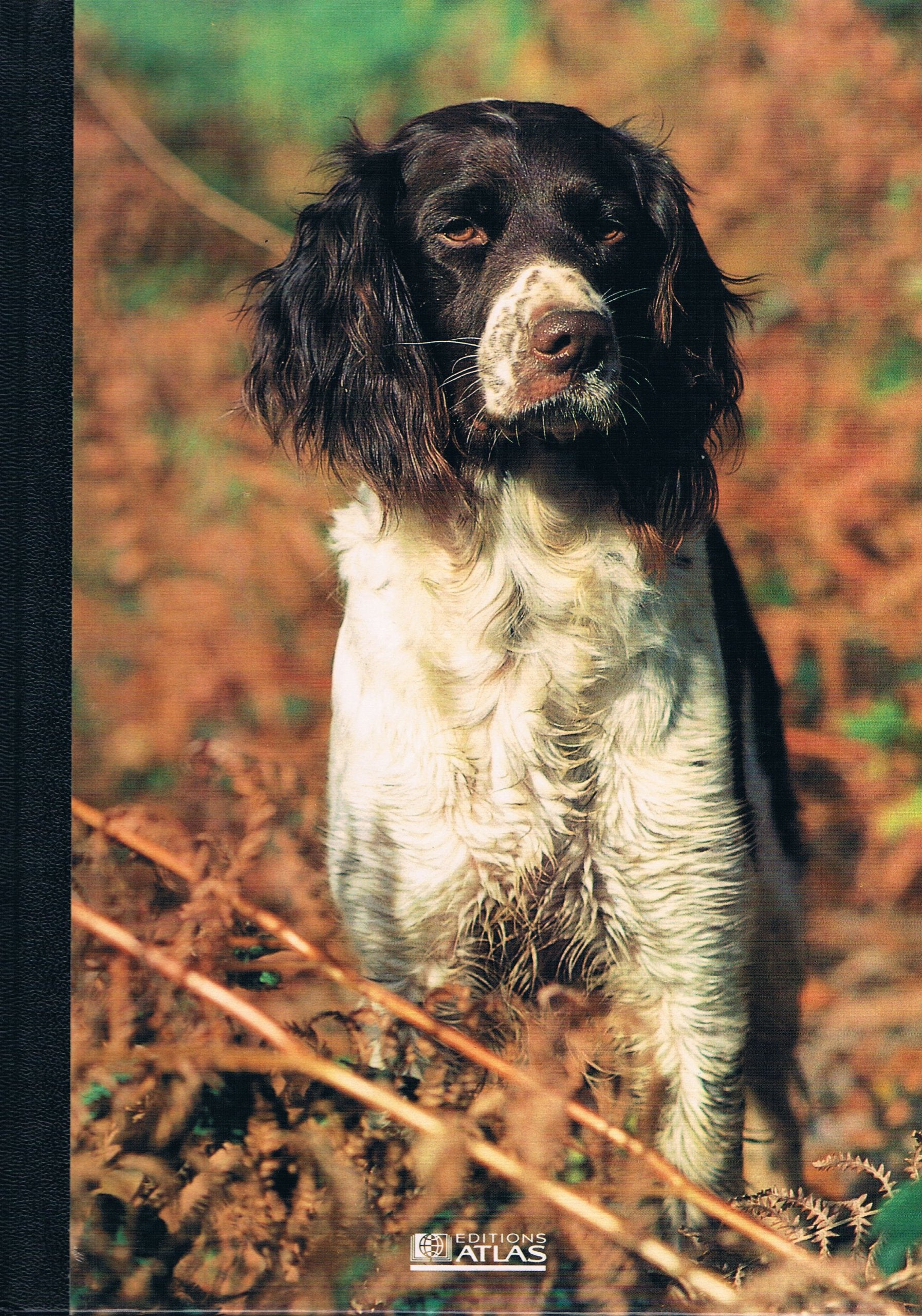 MON COMPAGNON LE CHIEN - VOLUME 10 - DE DRATHAAR A EPAGNEUL TIBETAIN book