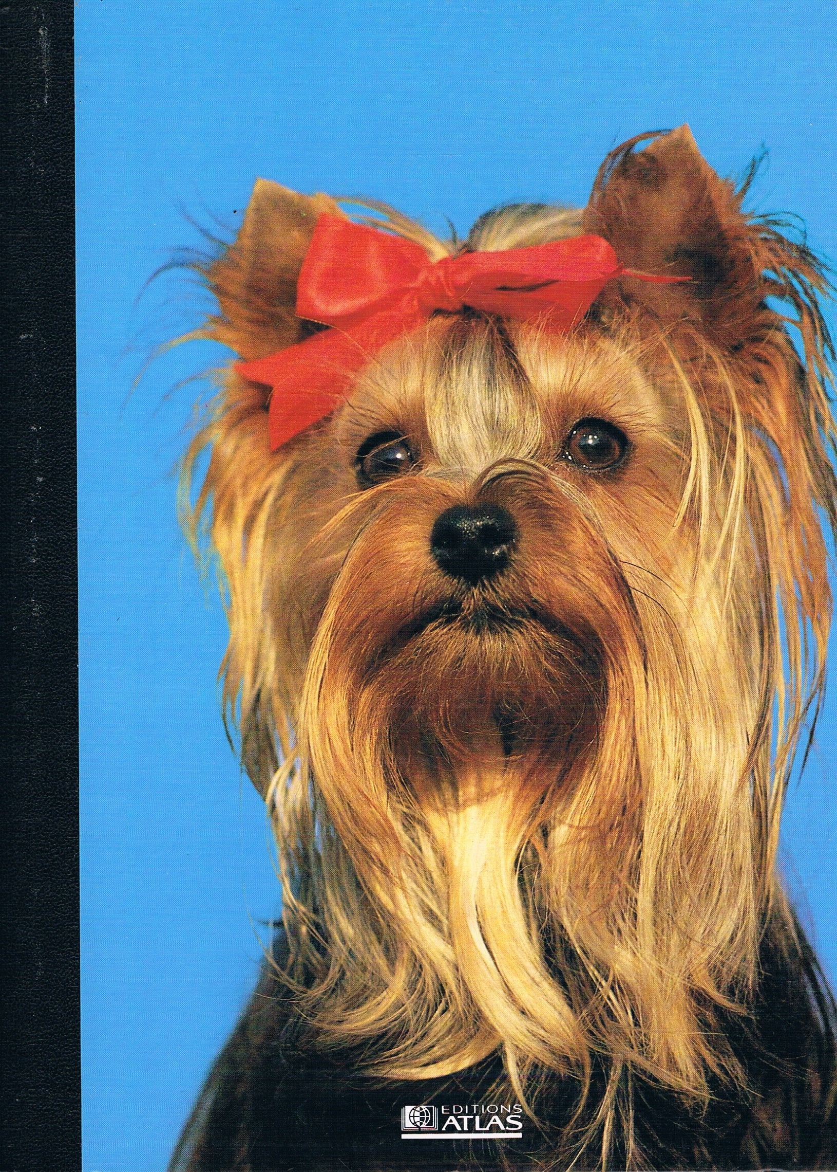 Mon Compagnon Le Chien Volume 19 De Terre-Neuve à Yorkshire-Terrier book