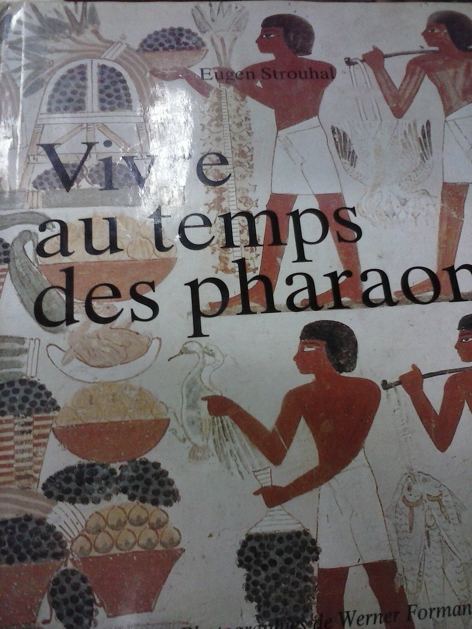 Vivre au temps des pharaons 083096 book