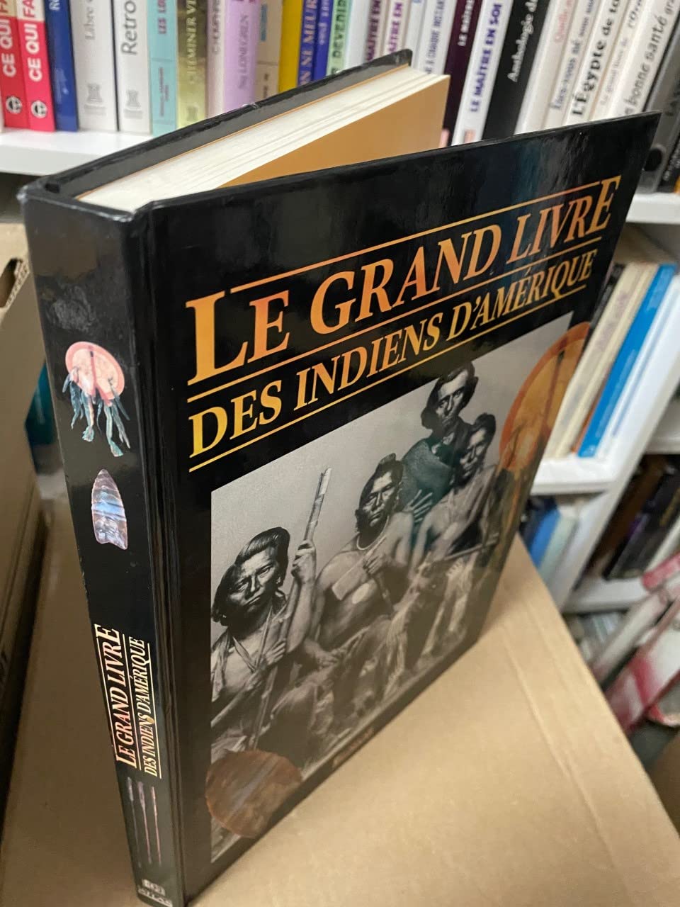 Le grand livre des indiens d'Amérique Books