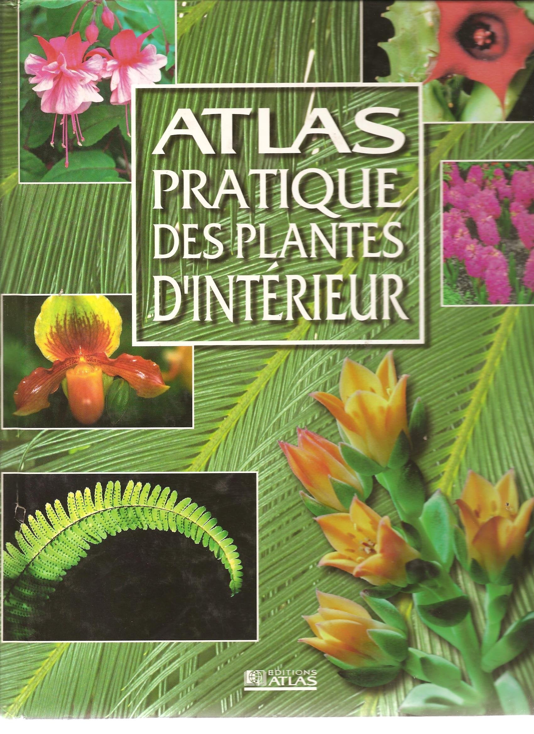 Atlas pratique des plantes d'intérieur book