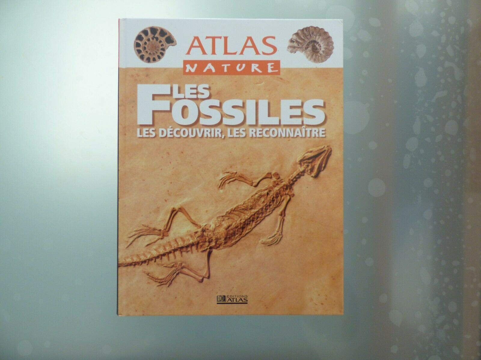 Les fossiles. les découvrir, les reconnaître (Atlas Nature) Books