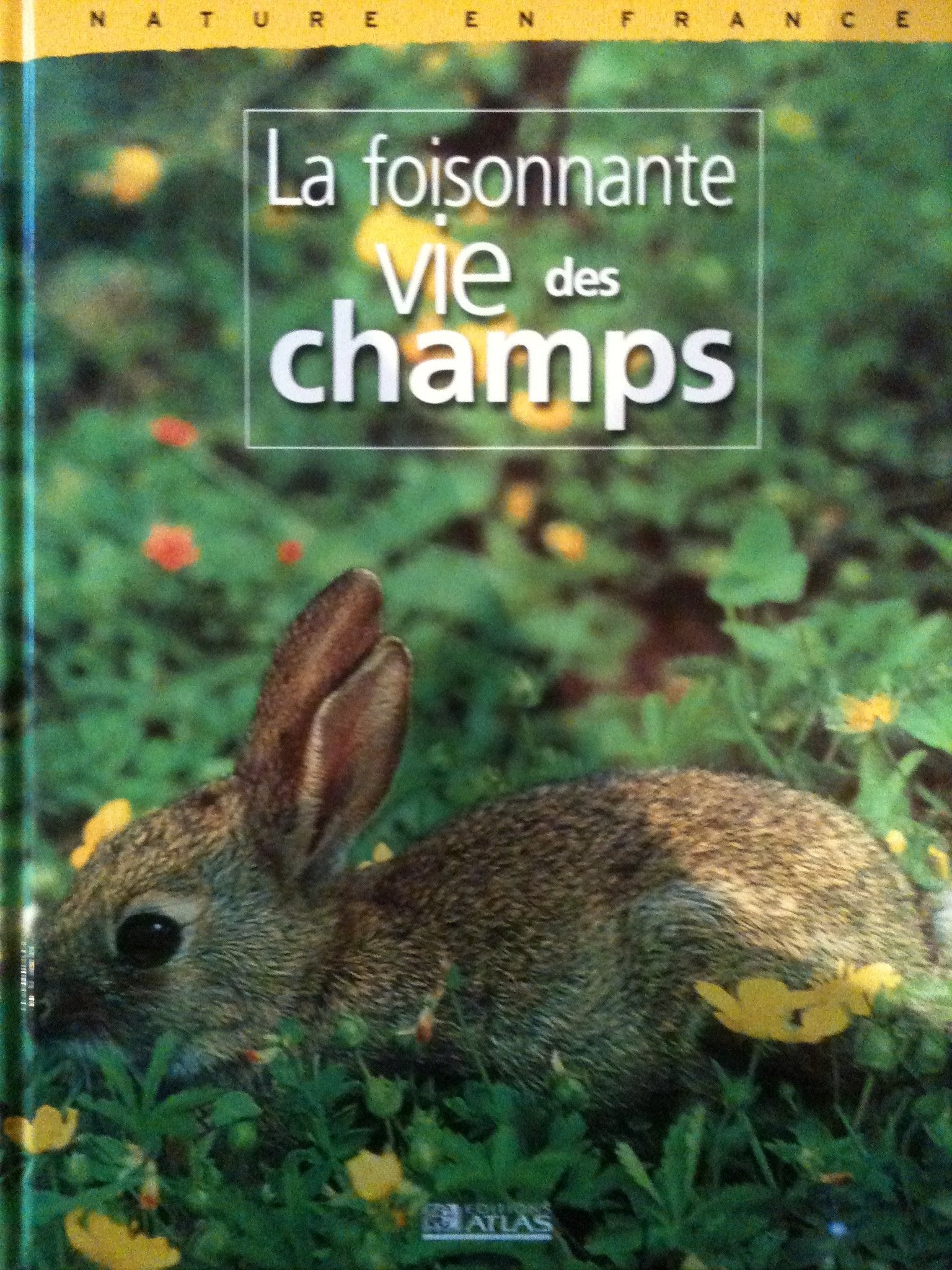 LA FOISONNANTE VIE DES CHAMPS Books