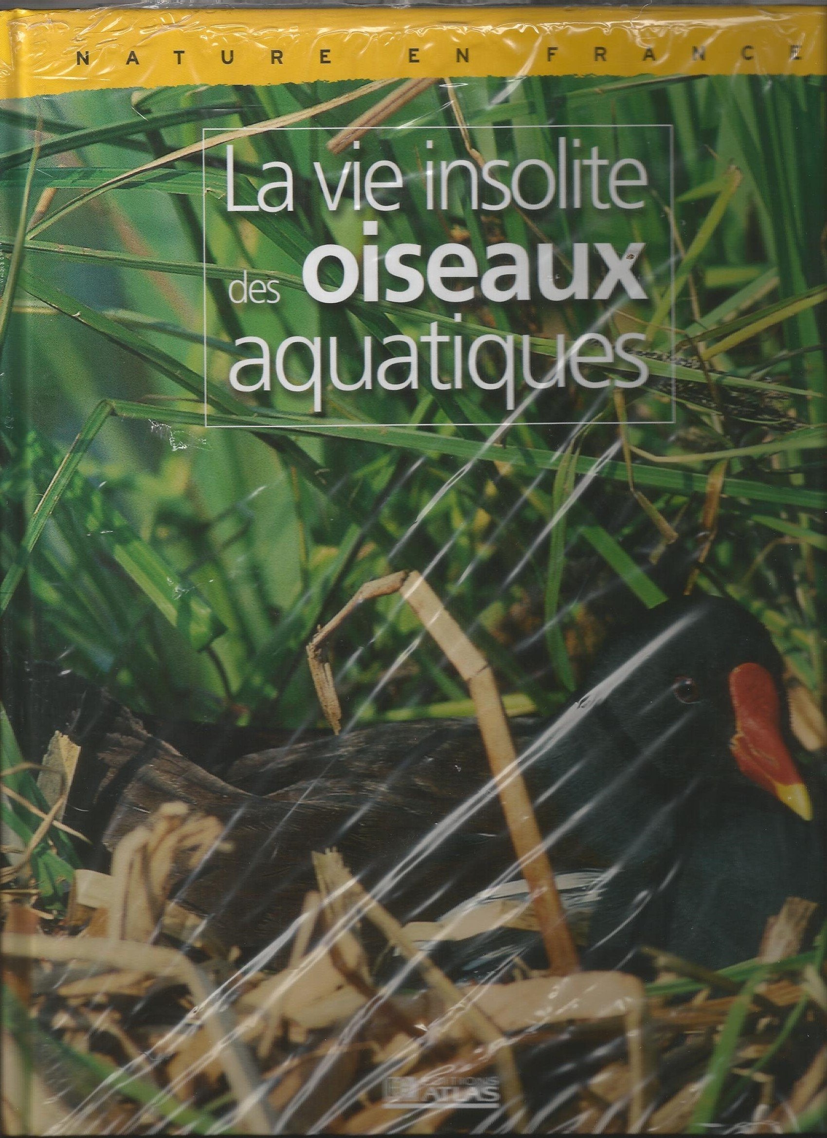 Nature en France : la vie insolite des oiseaux aquatiques Books