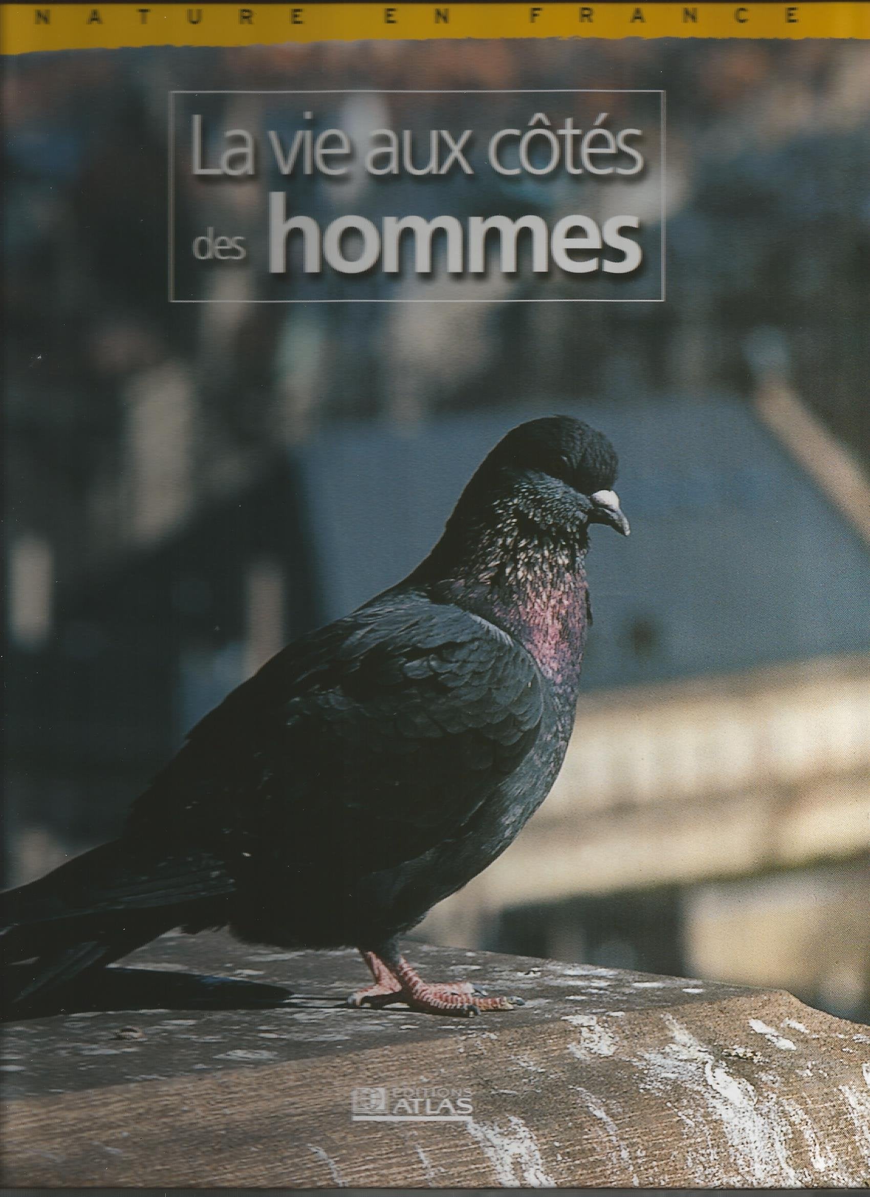 Nature en France : La vie aux côtés des hommes Books