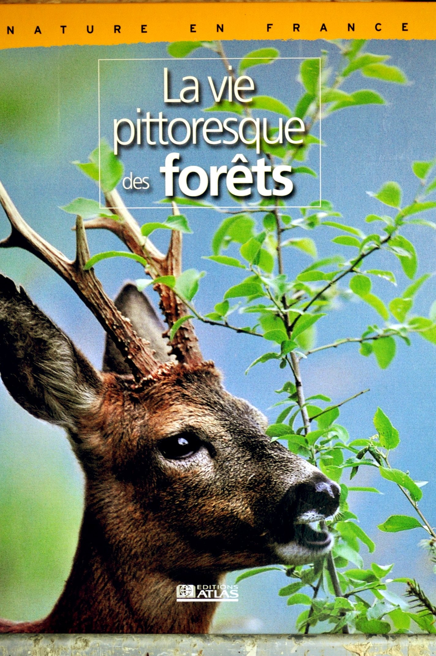 Nature en France : La vie pittoresque des forêts Books