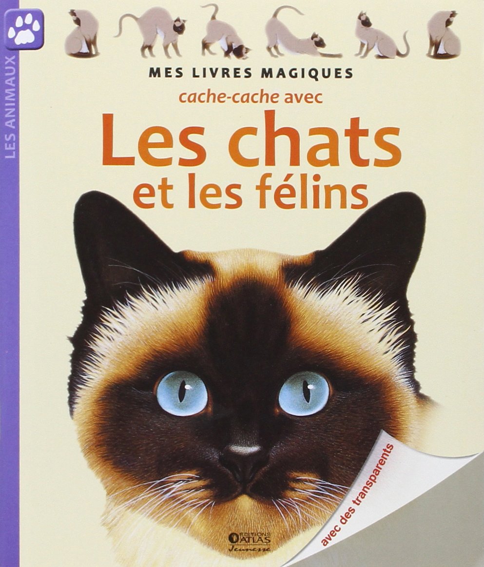 Cache-cache avec les chats et les félins Books