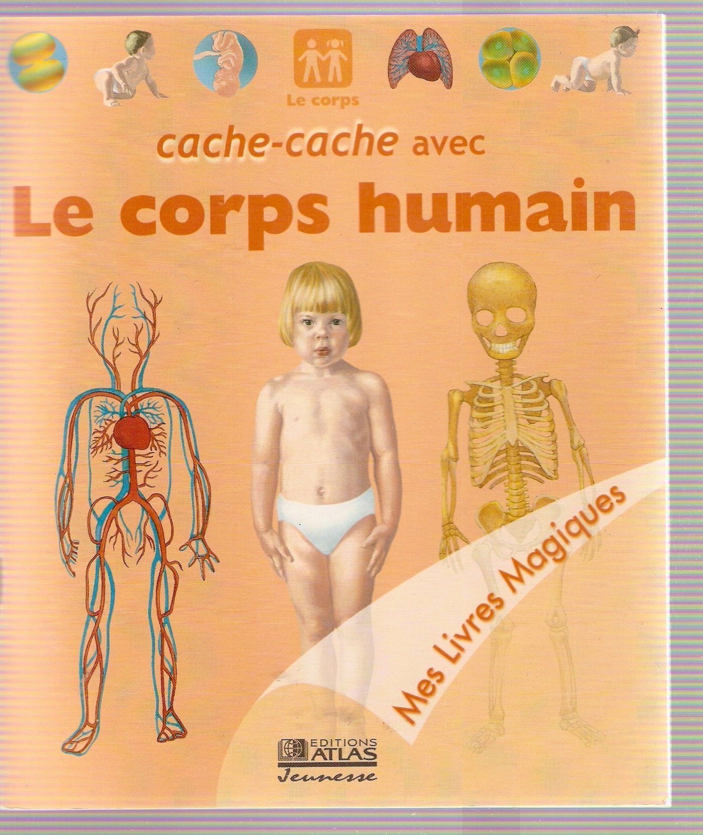 Cache-cache avec le corps humain (Mes livres magiques) book
