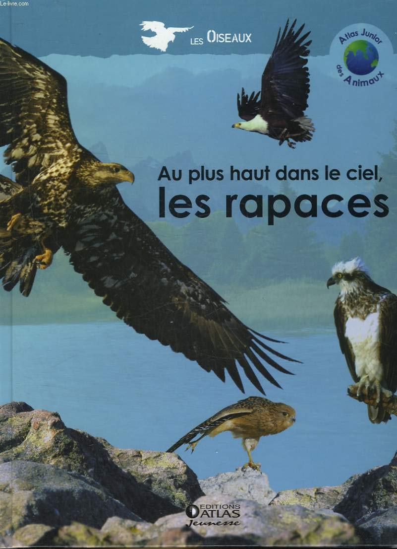 Au plus haut dans le ciel, les rapaces (Atlas junior des animaux) Books