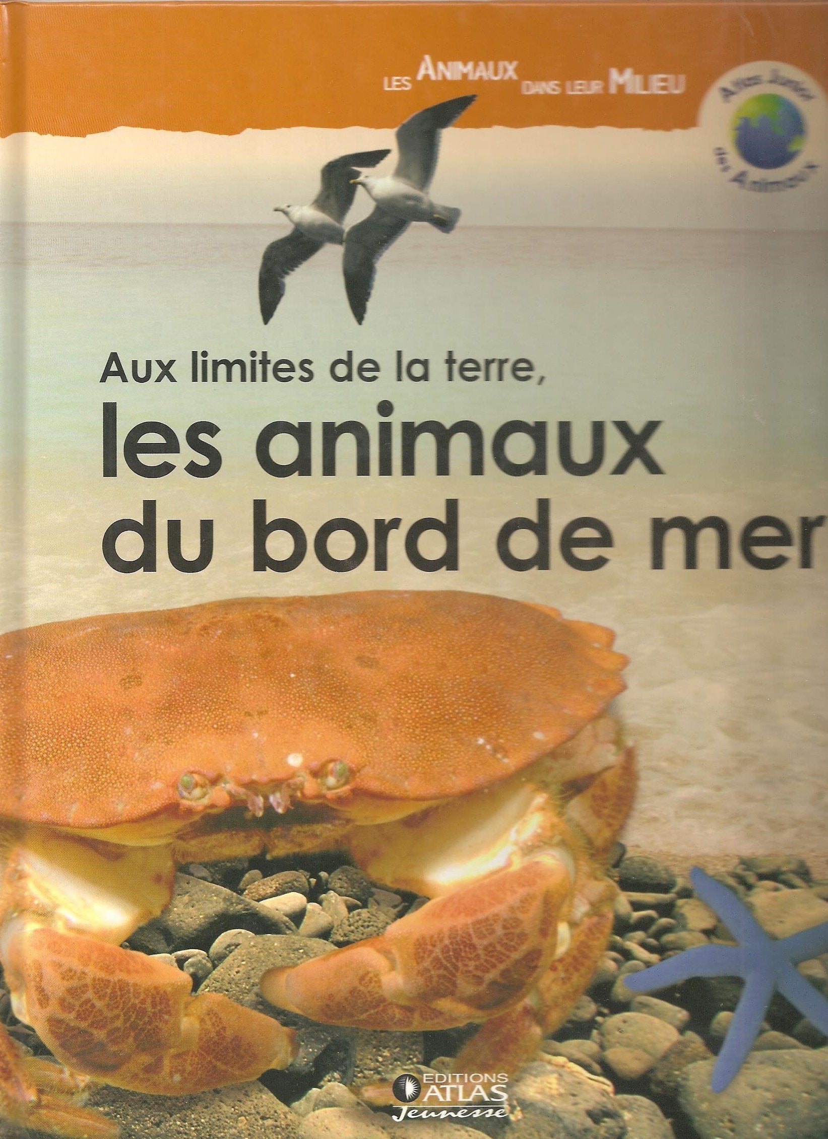 atlas junior des animaux(les animaux dans leu milieu) Books
