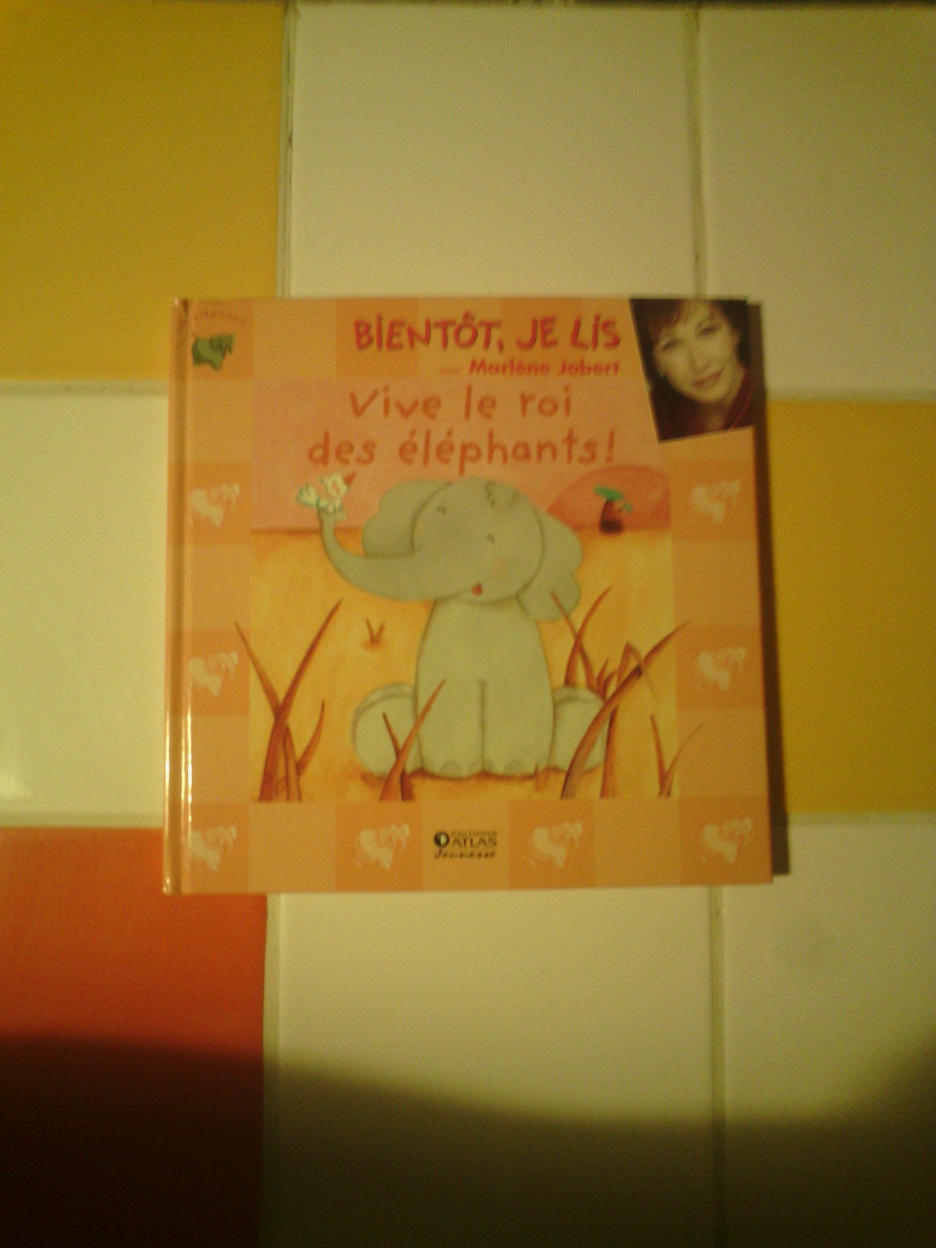 Bientôt, je lis - Vive le roi des éléphants book