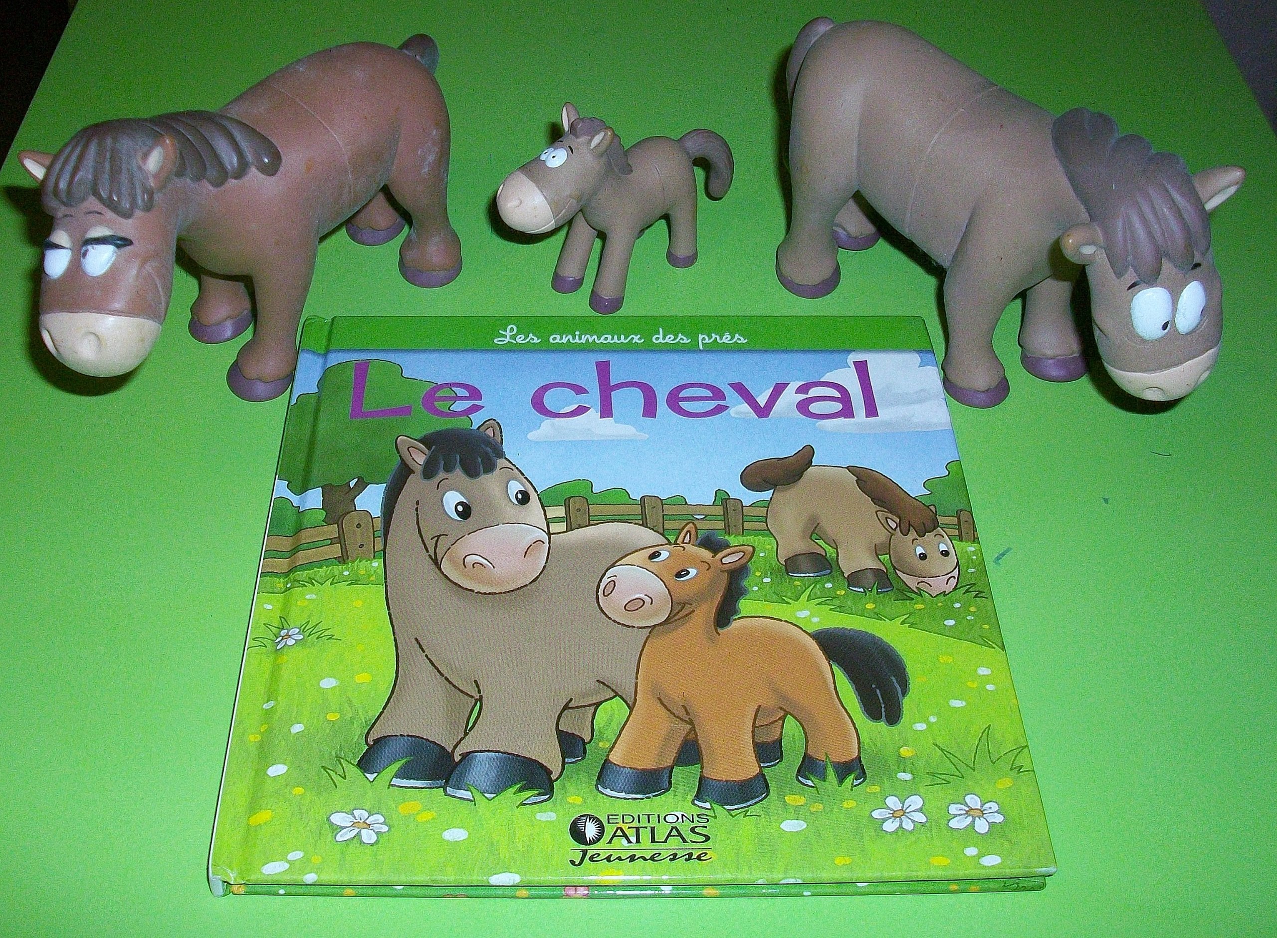 Les animaux des près : le cheval, la jument et le poulain book