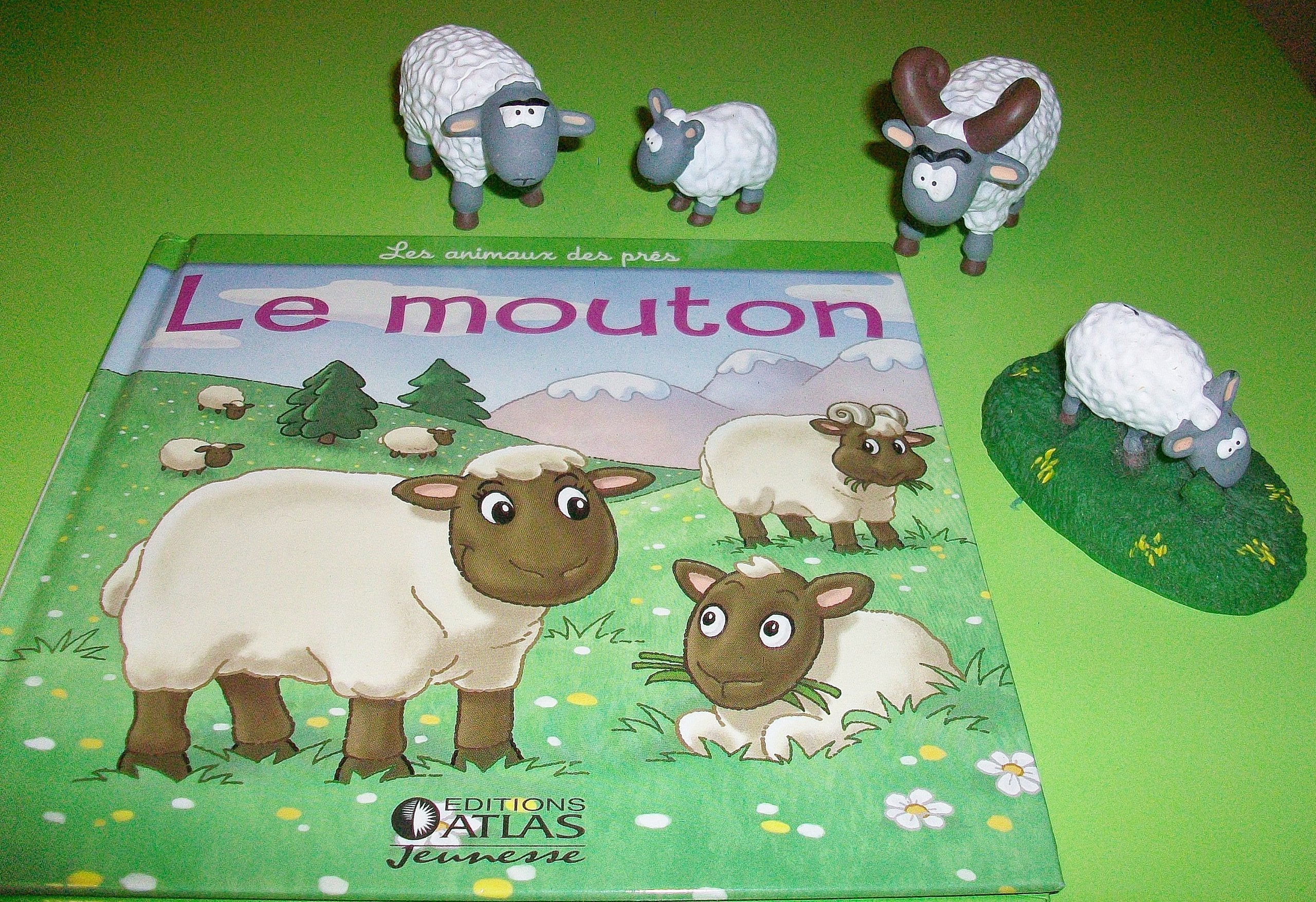 Les animaux des près : le mouton, le bélier, la brebis et l'agneau book