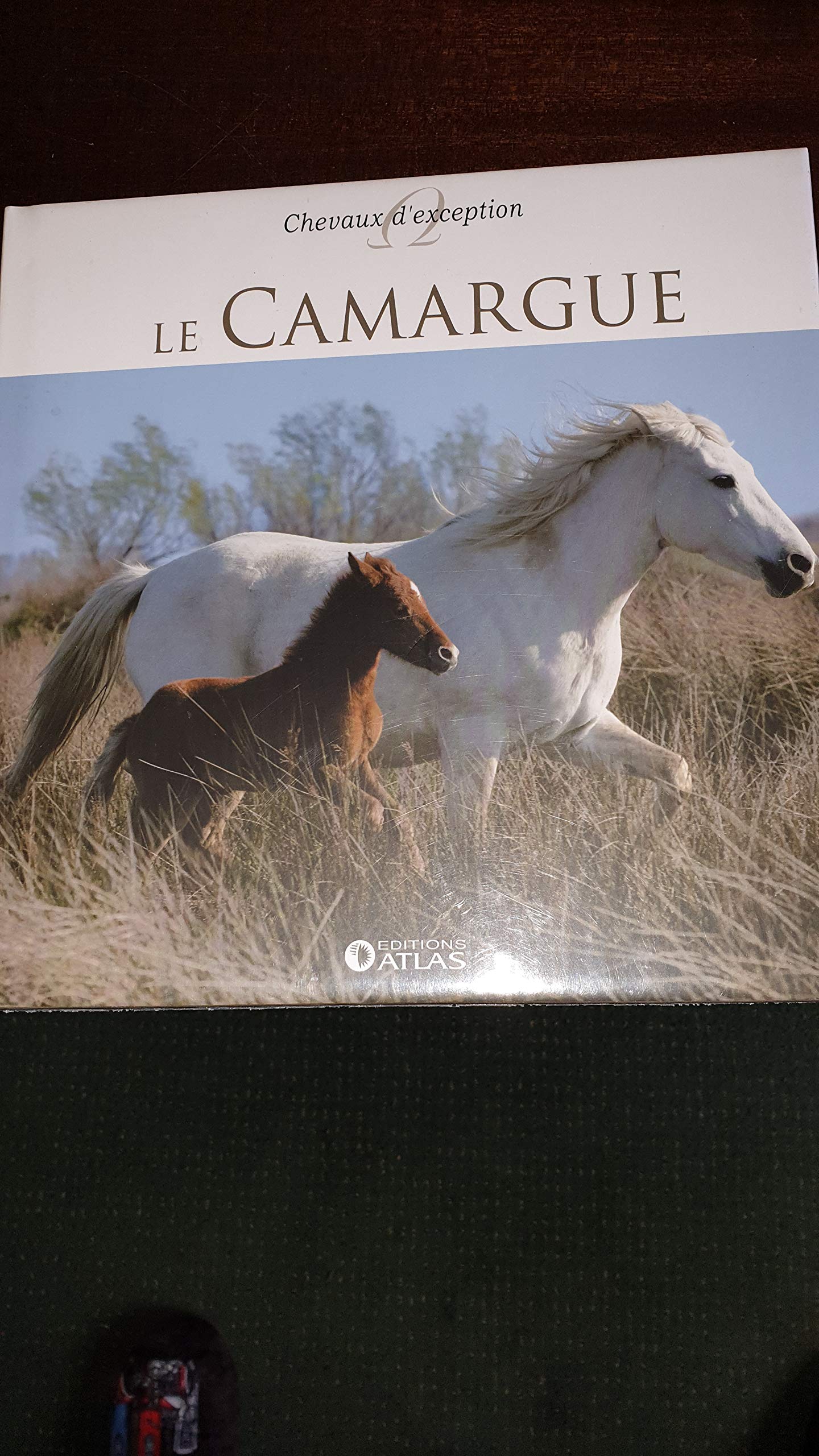 Le Camargue - Galletier, Agnès / Livre BE Books