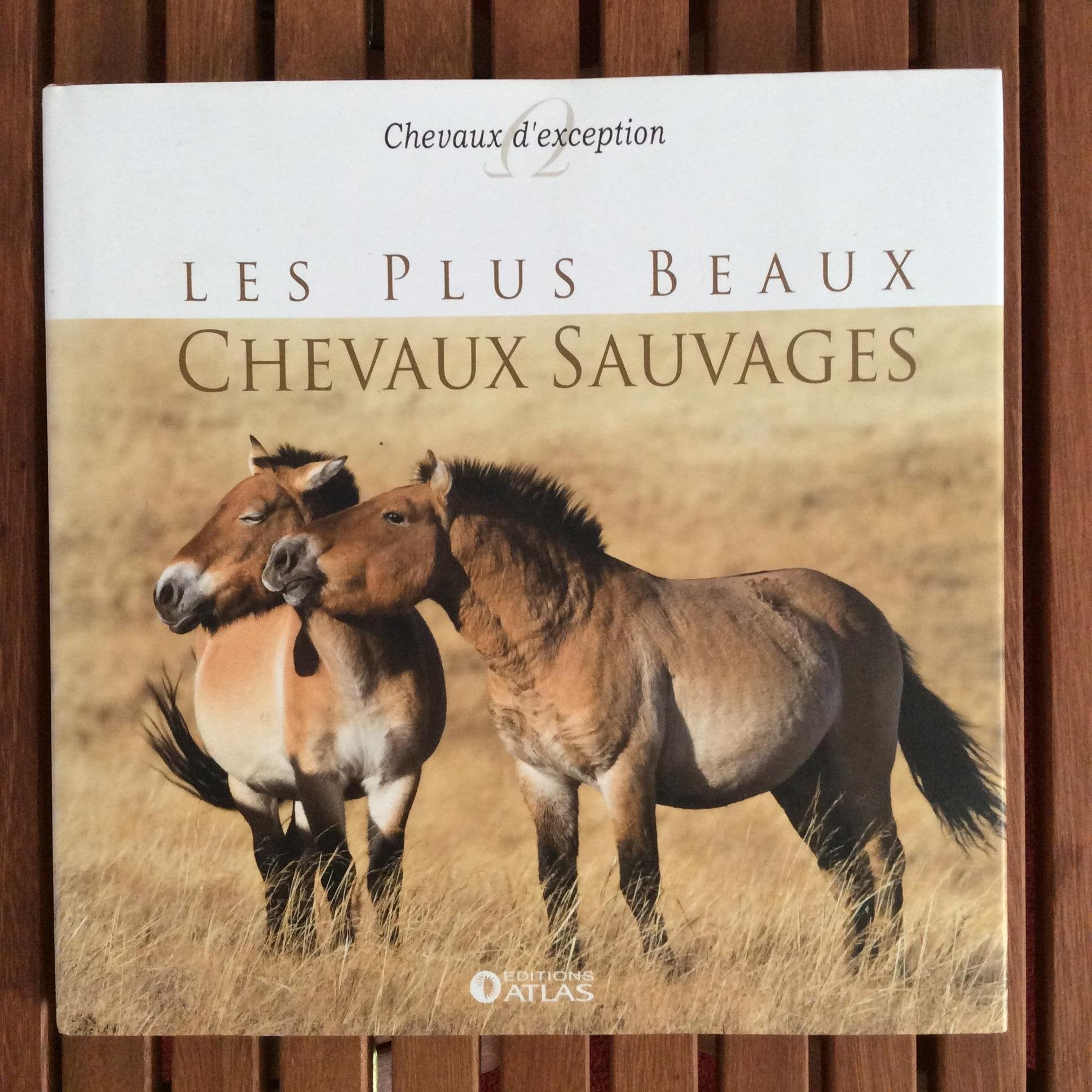Les plus beaux chevaux sauvages Books