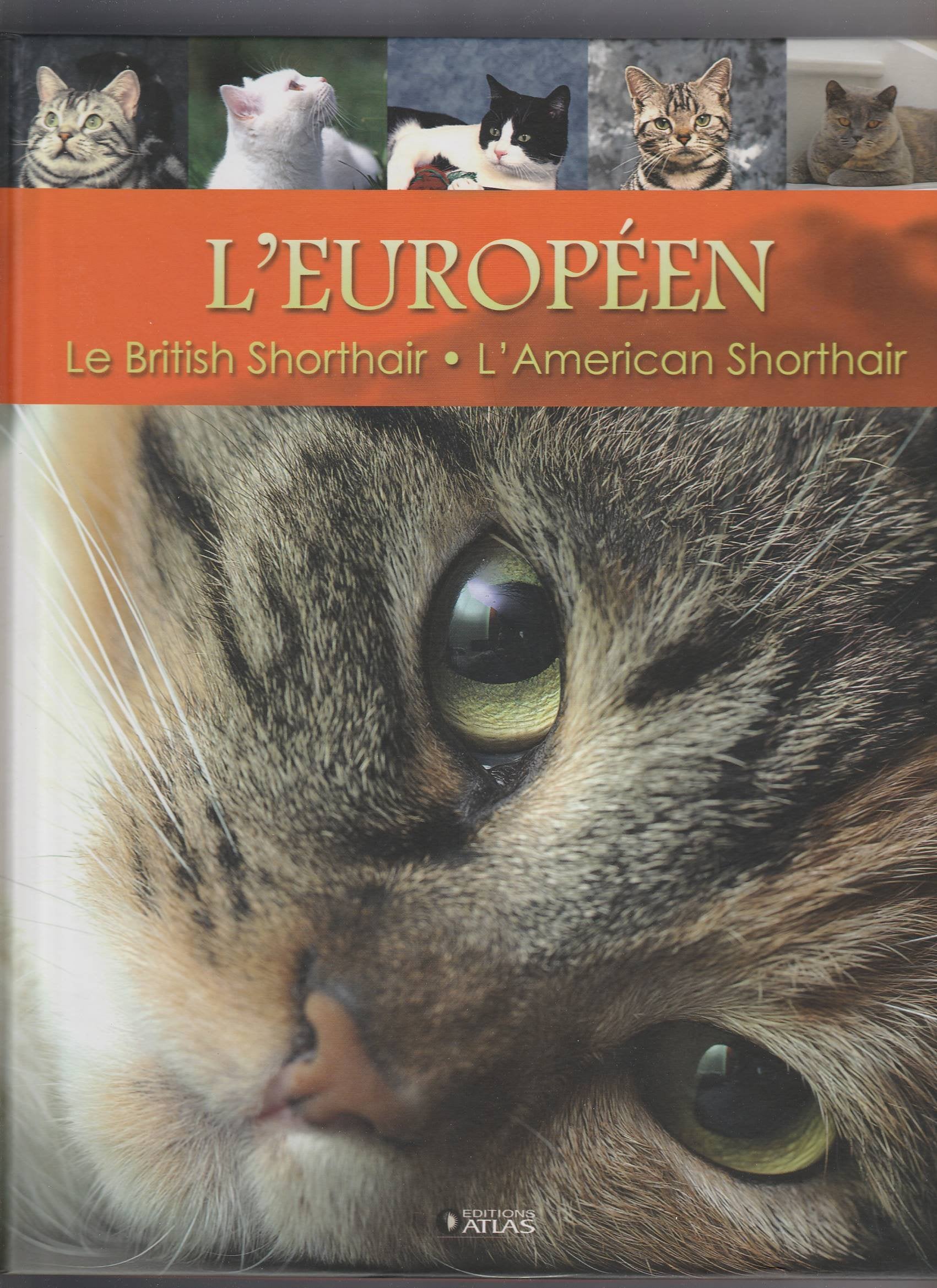 L'européen : Le British Shorthair - L'american Shorthair Books
