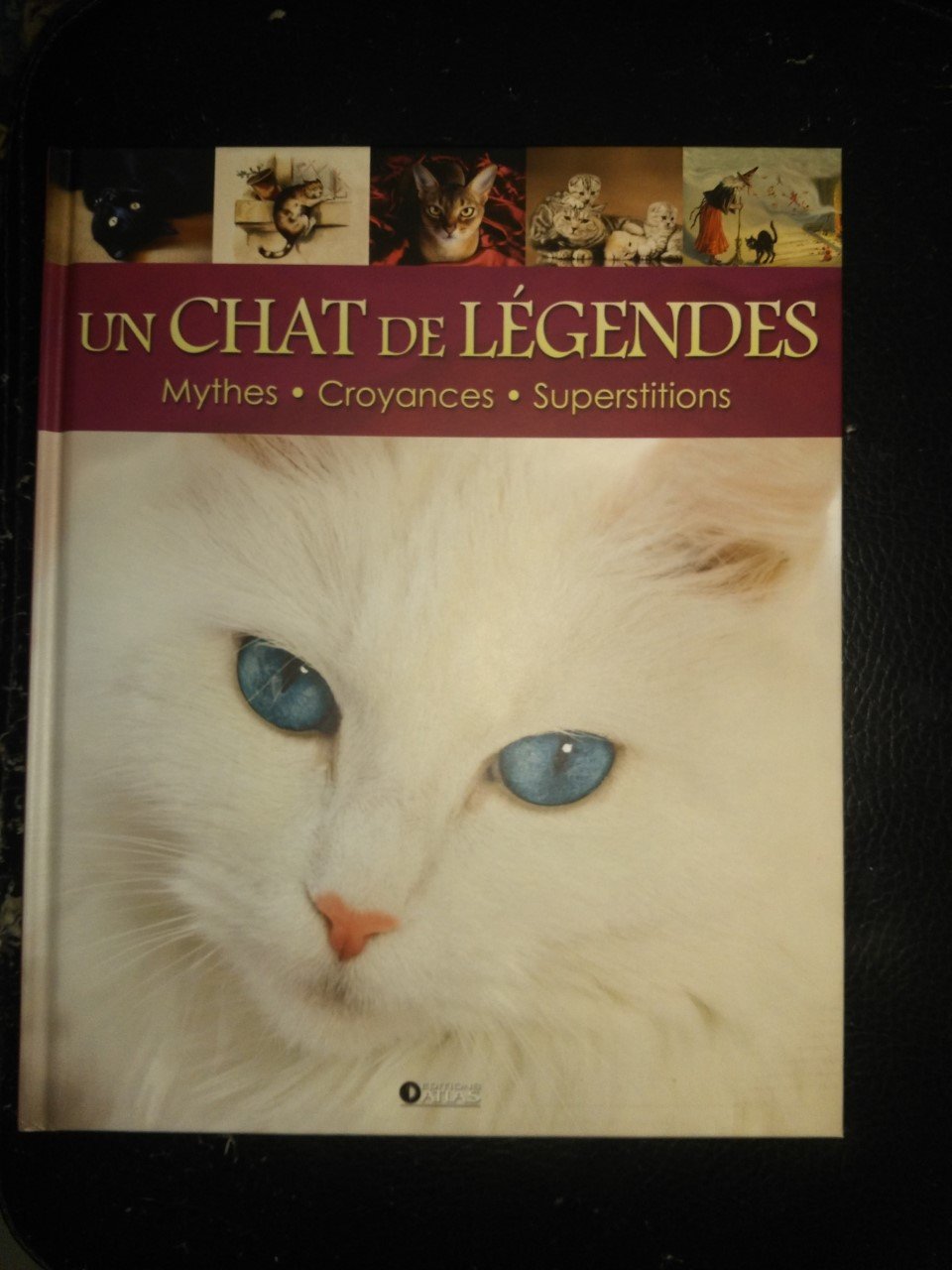 Un chat de légendes Mythes.Croyances.Supertitions book