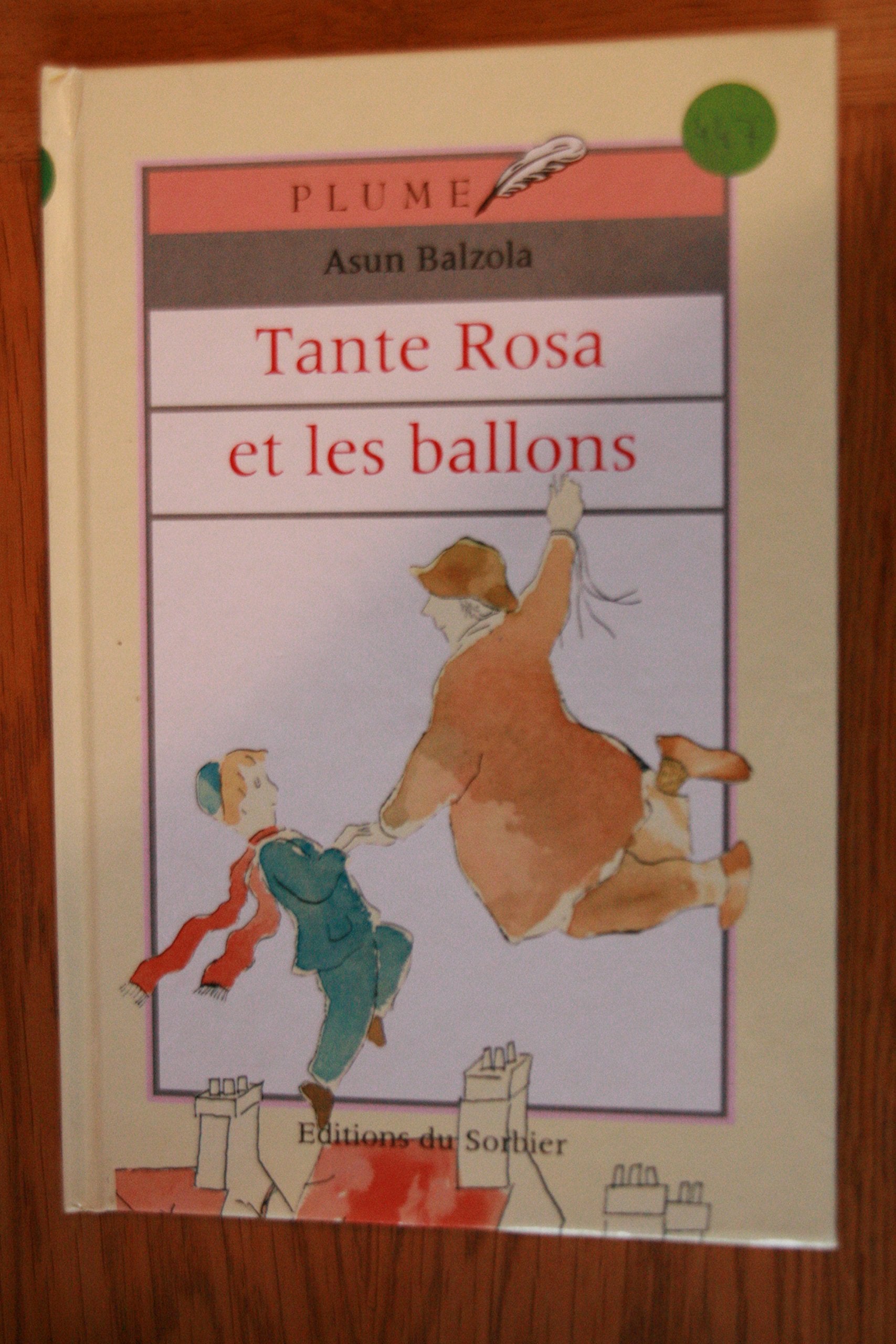 Tante Rosa et les ballons book