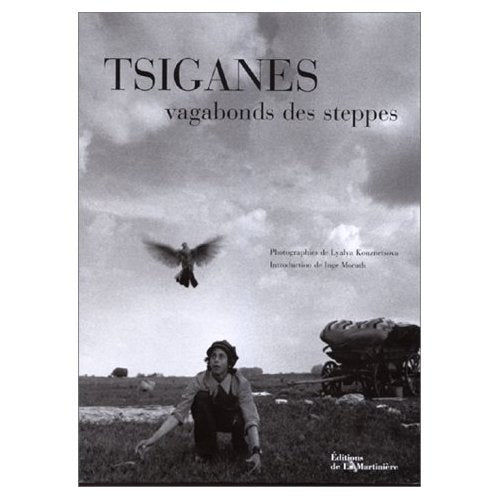 Tsiganes, vagabonds des steppes Books